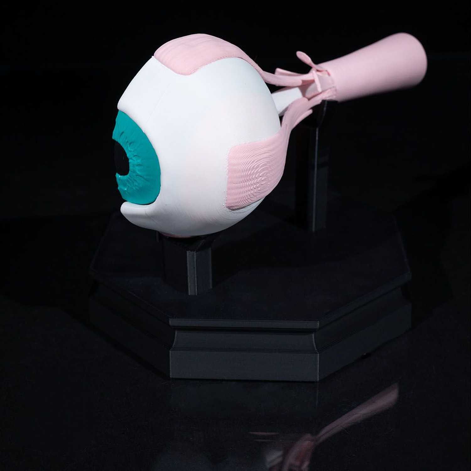 Human Eye
