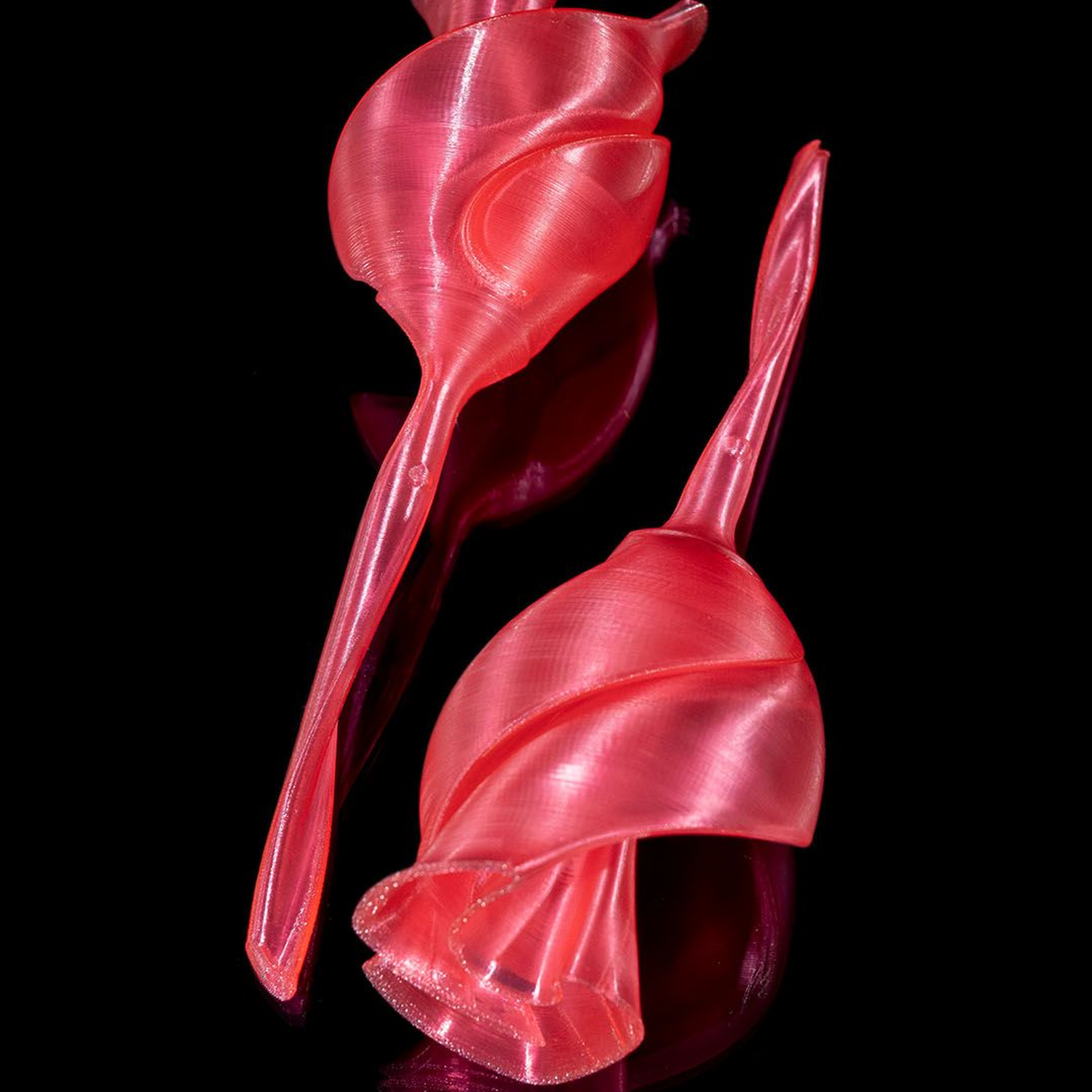 Twisted Rose