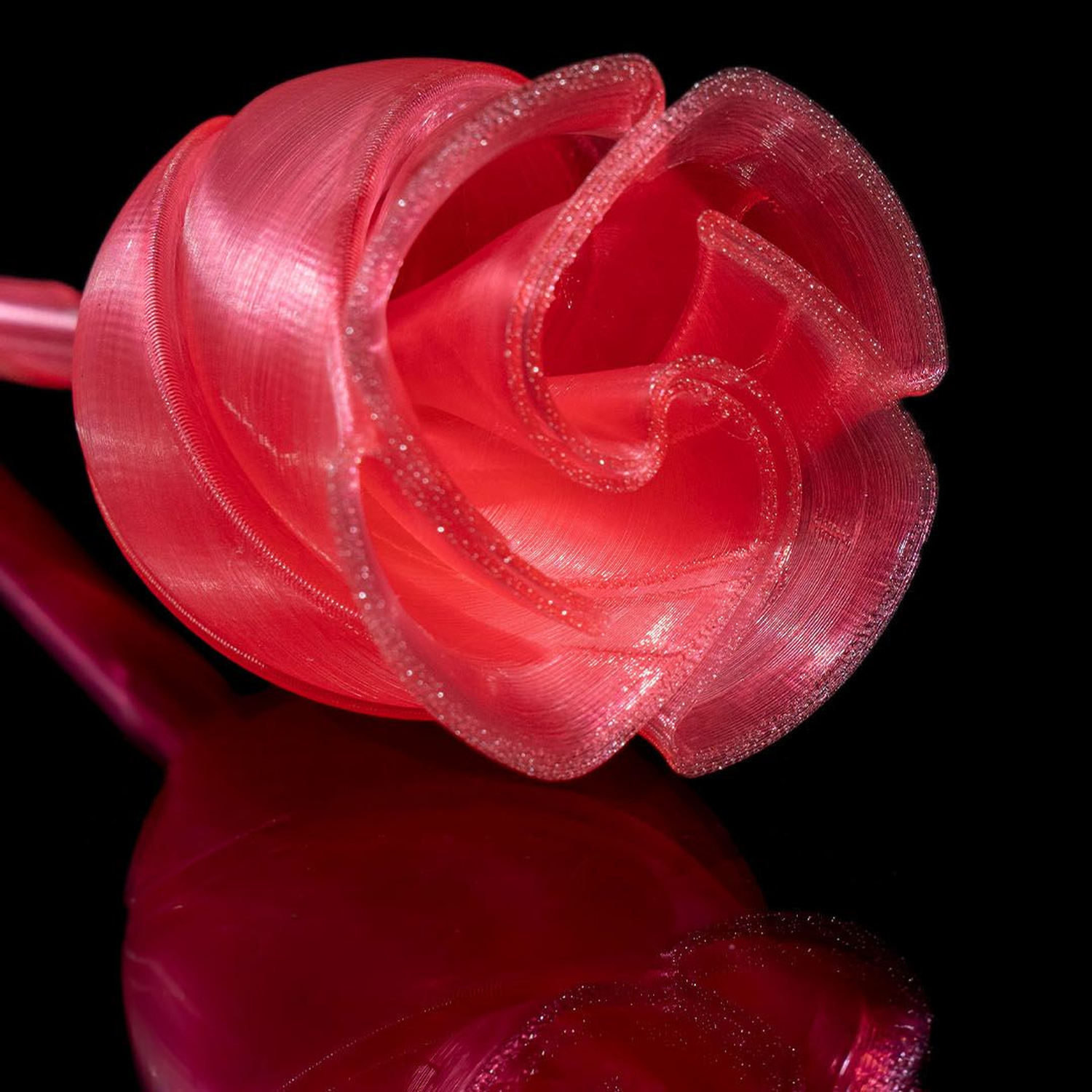 Twisted Rose