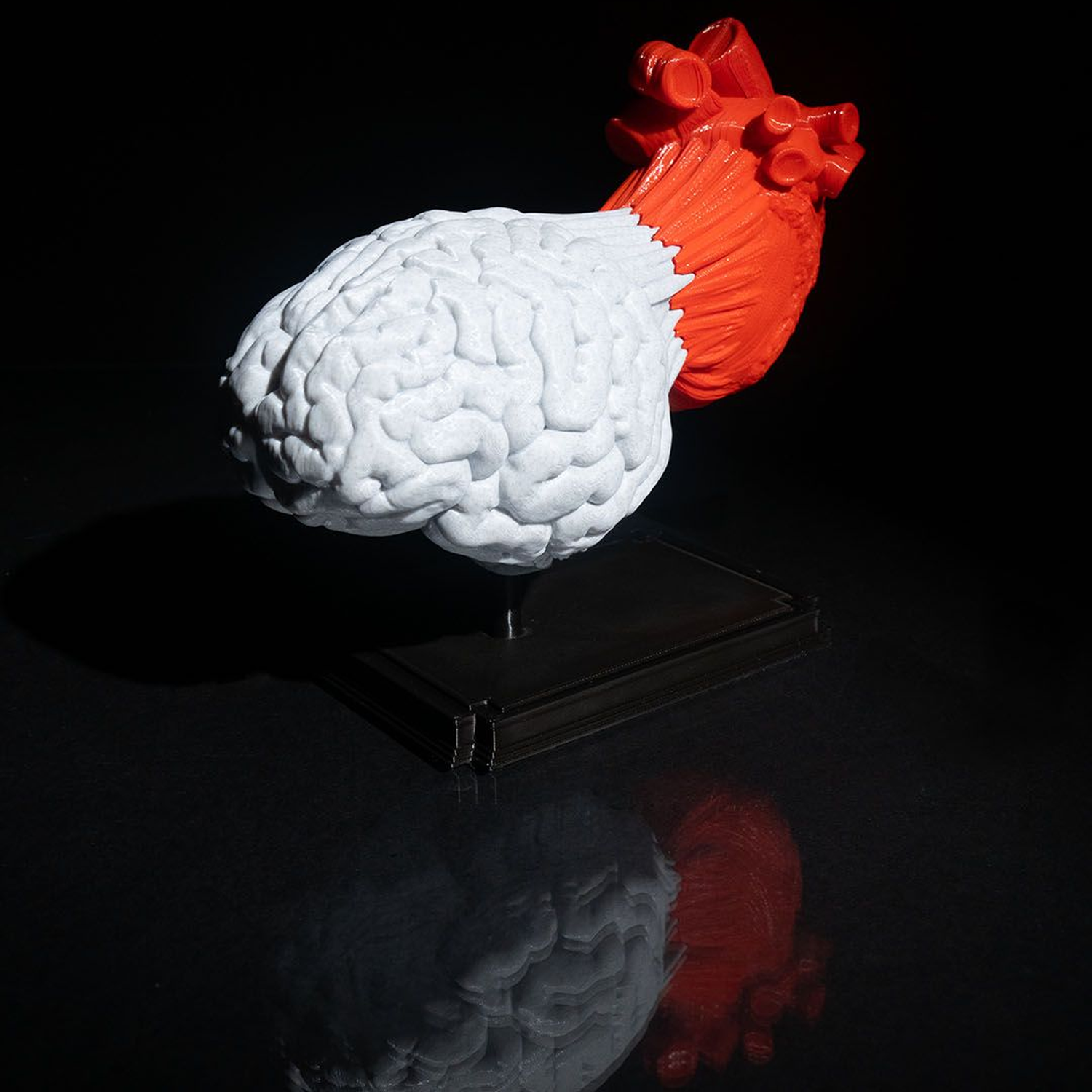 Heart and Mind