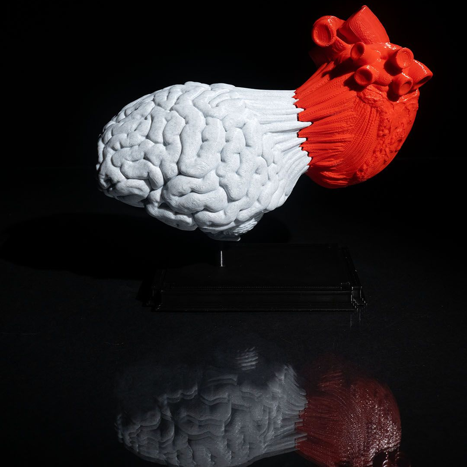 Heart and Mind