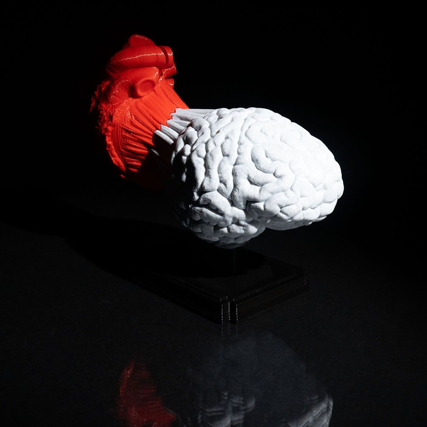Heart and Mind