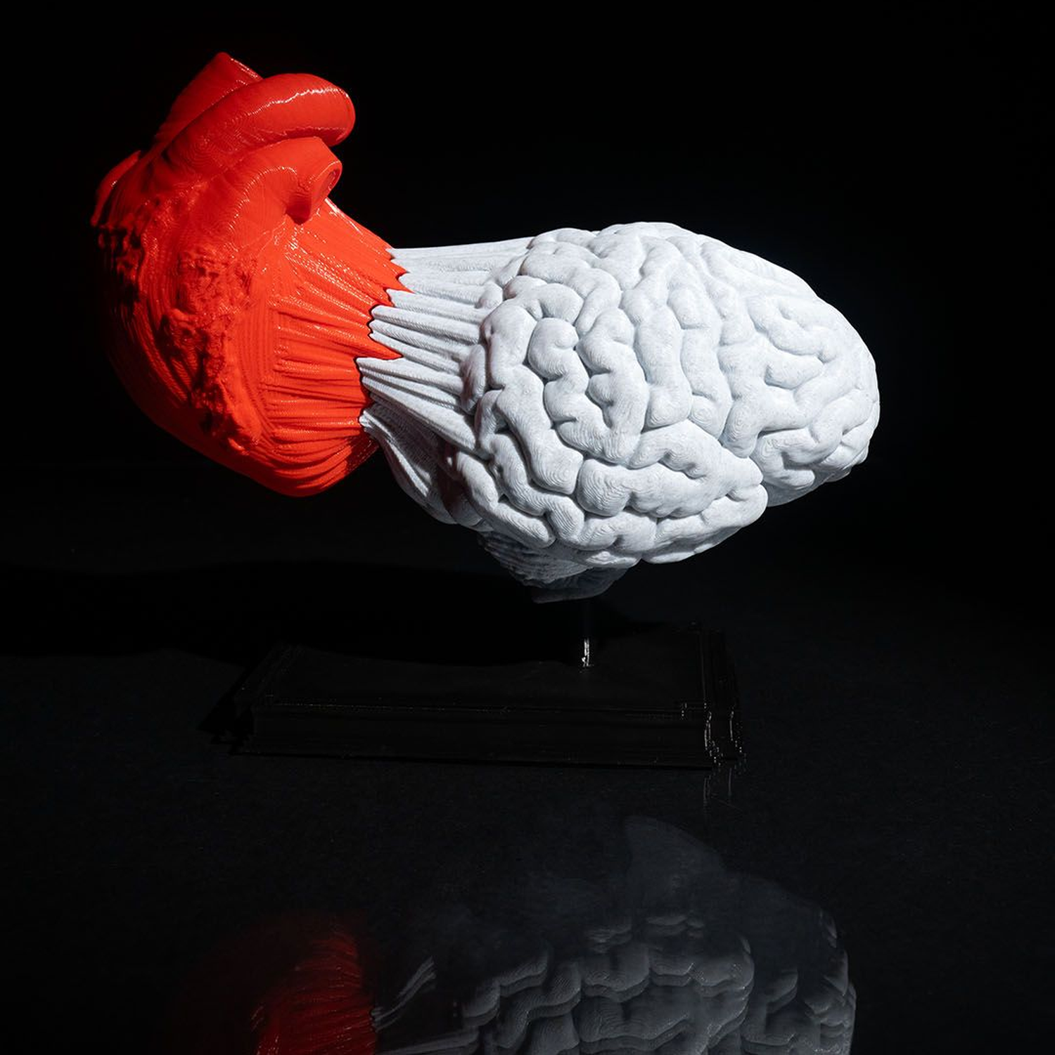 Heart and Mind