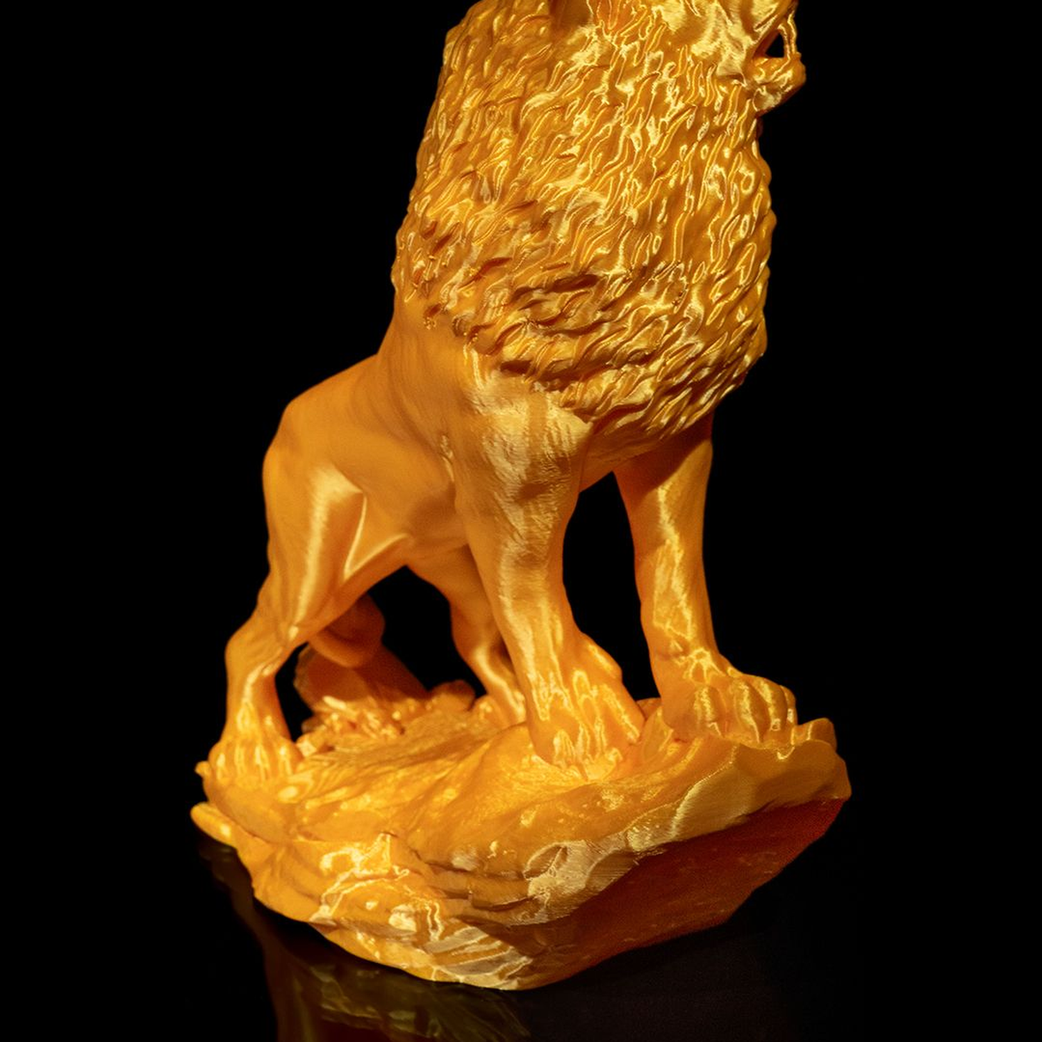 The Asiatic Lion