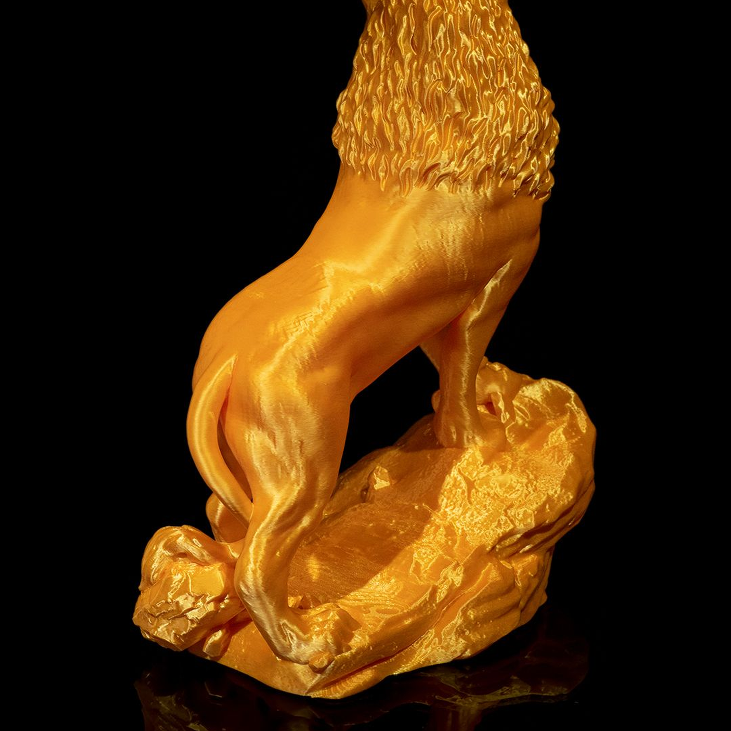 The Asiatic Lion