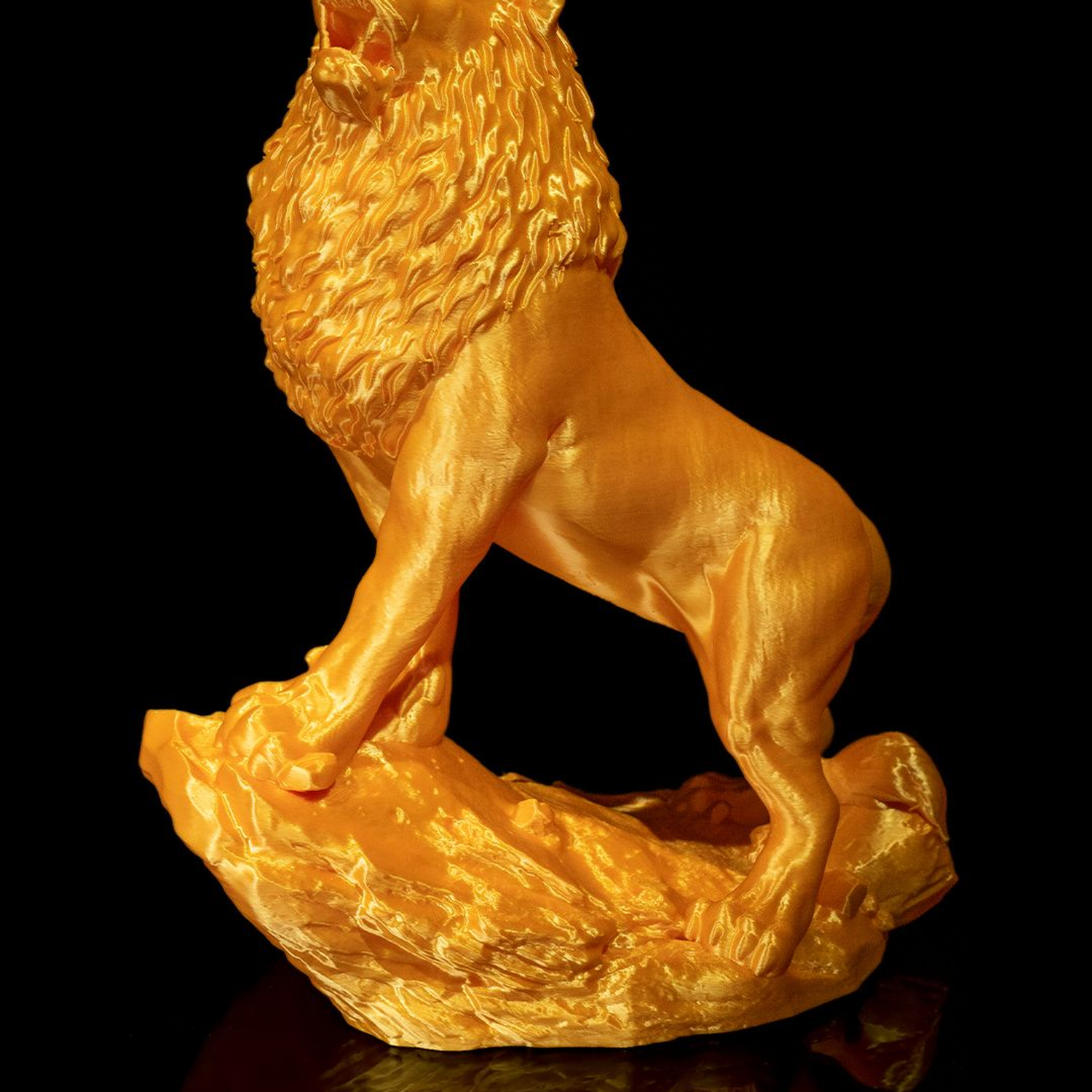 The Asiatic Lion