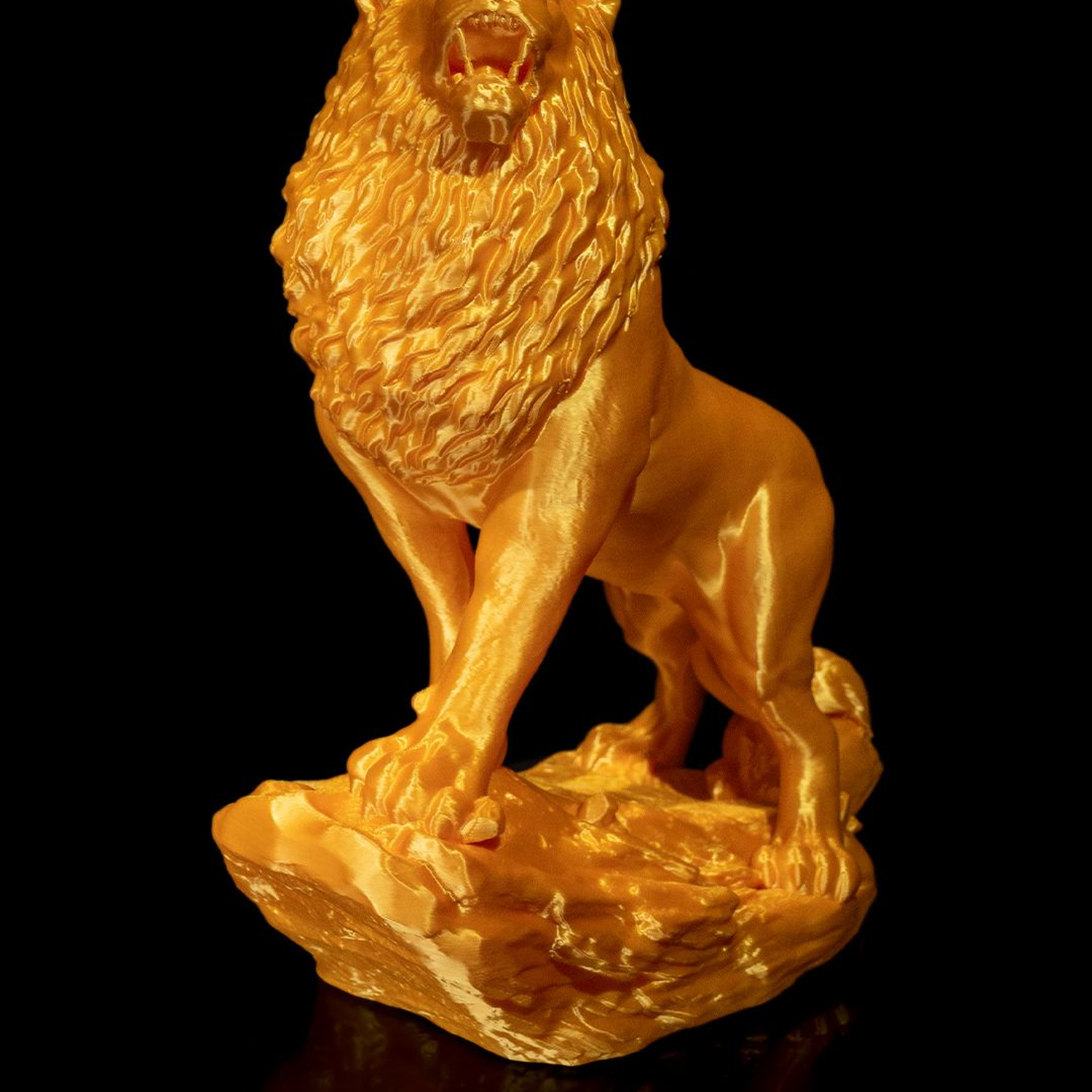 The Asiatic Lion