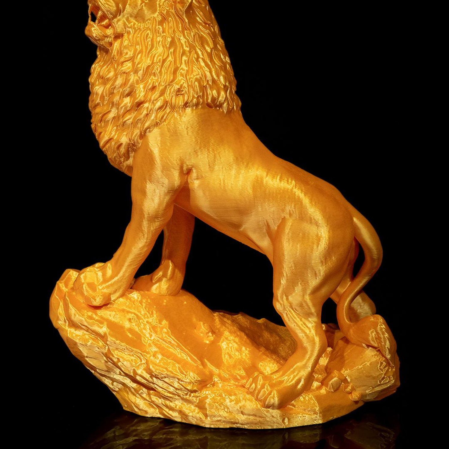 The Asiatic Lion