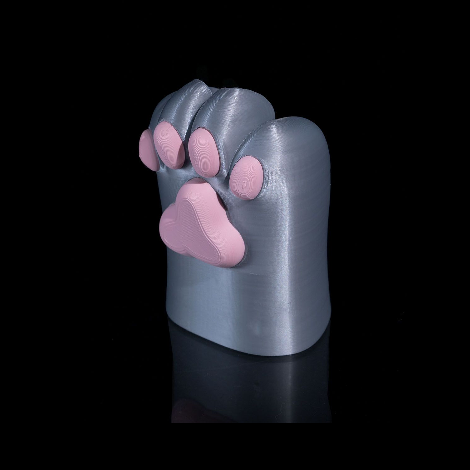Portalápices Cat Paw