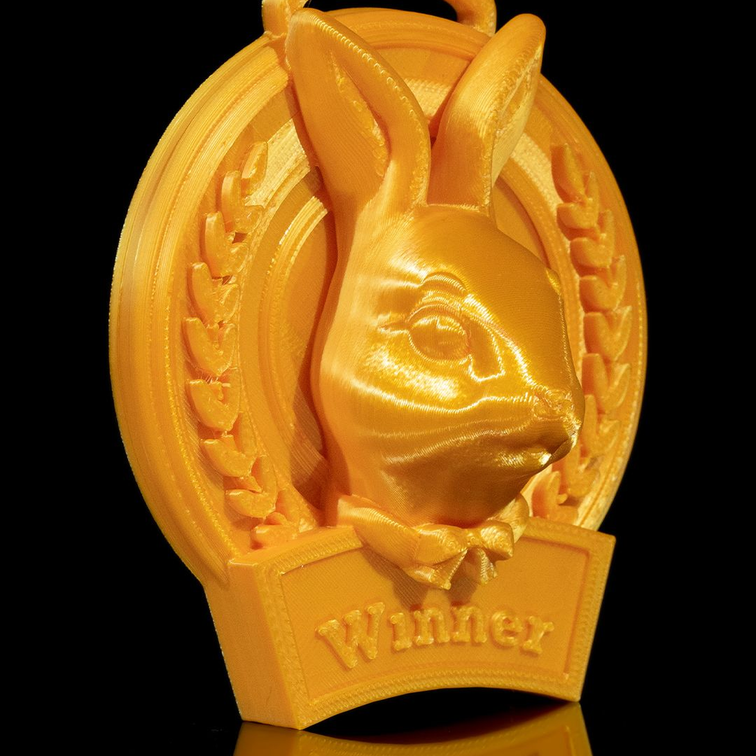 You’re a Winner Medal