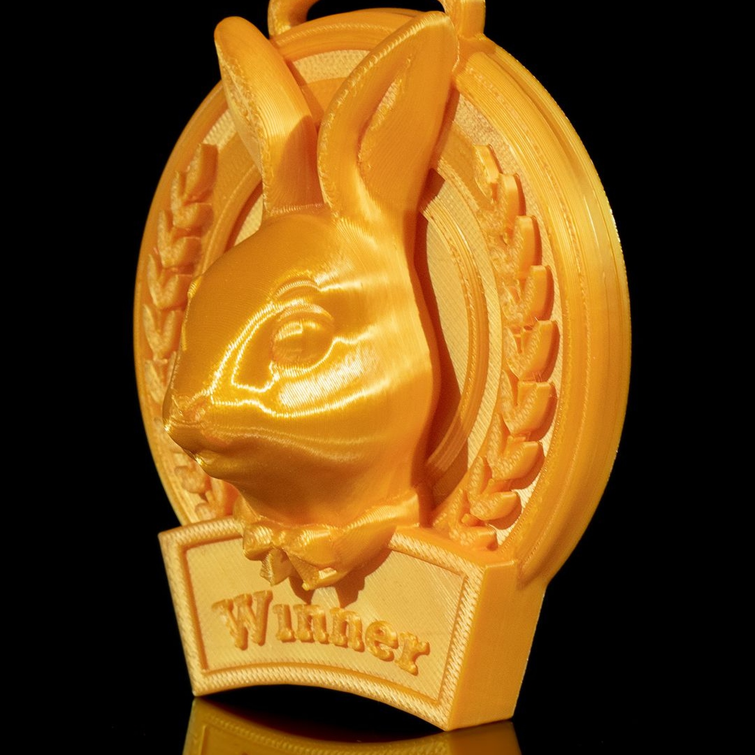 You’re a Winner Medal