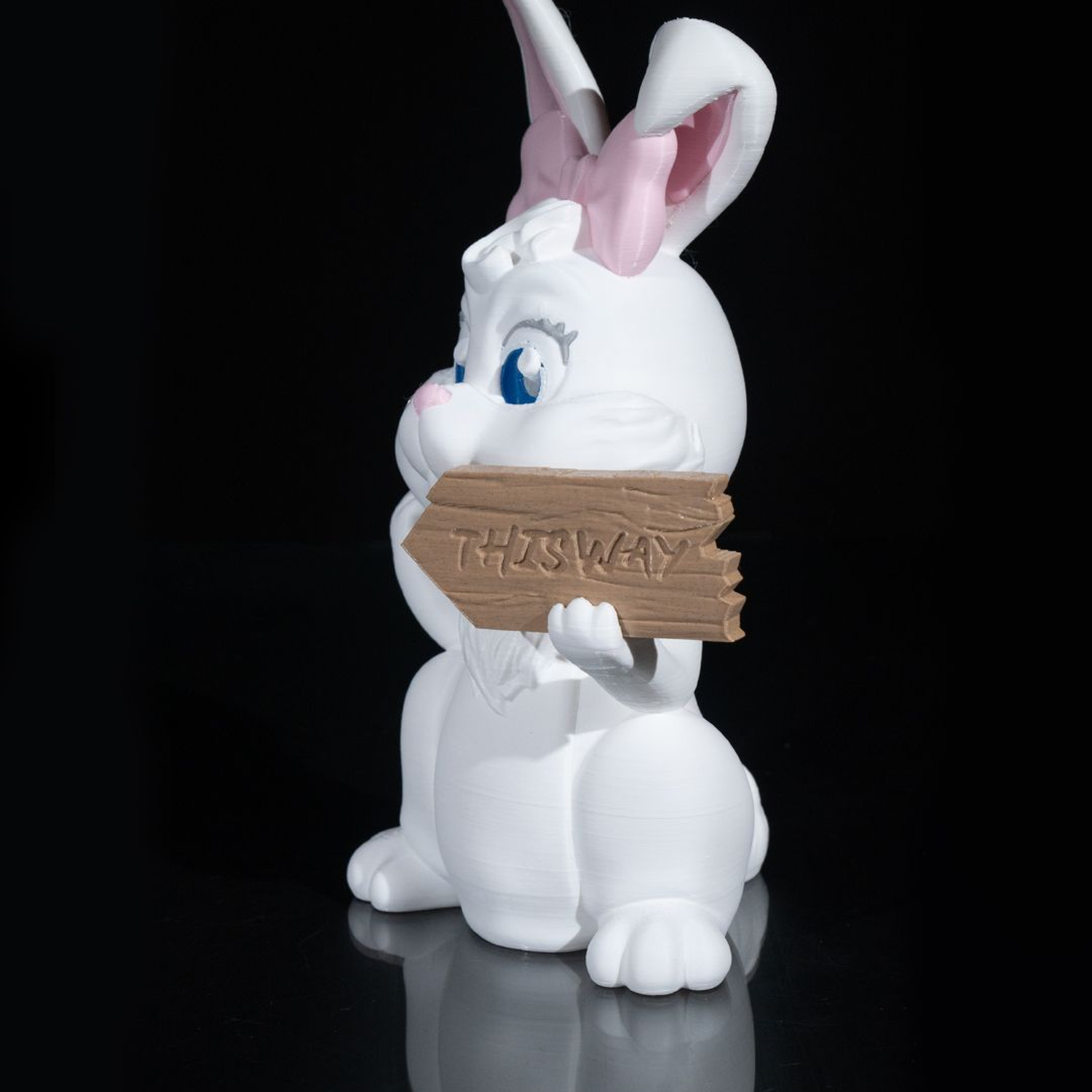 This Way Bunny Sign
