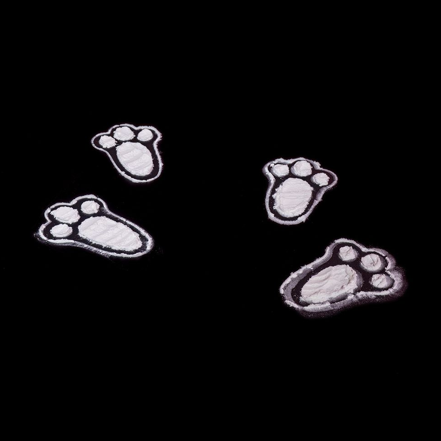 Easter Bunny Footprints