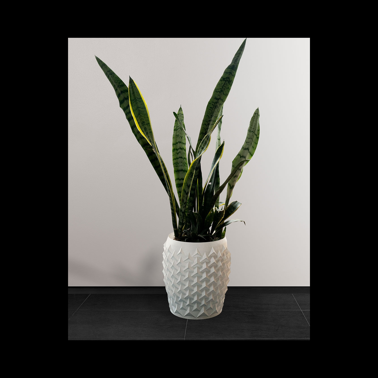 Maceta Pointy Flowerpot