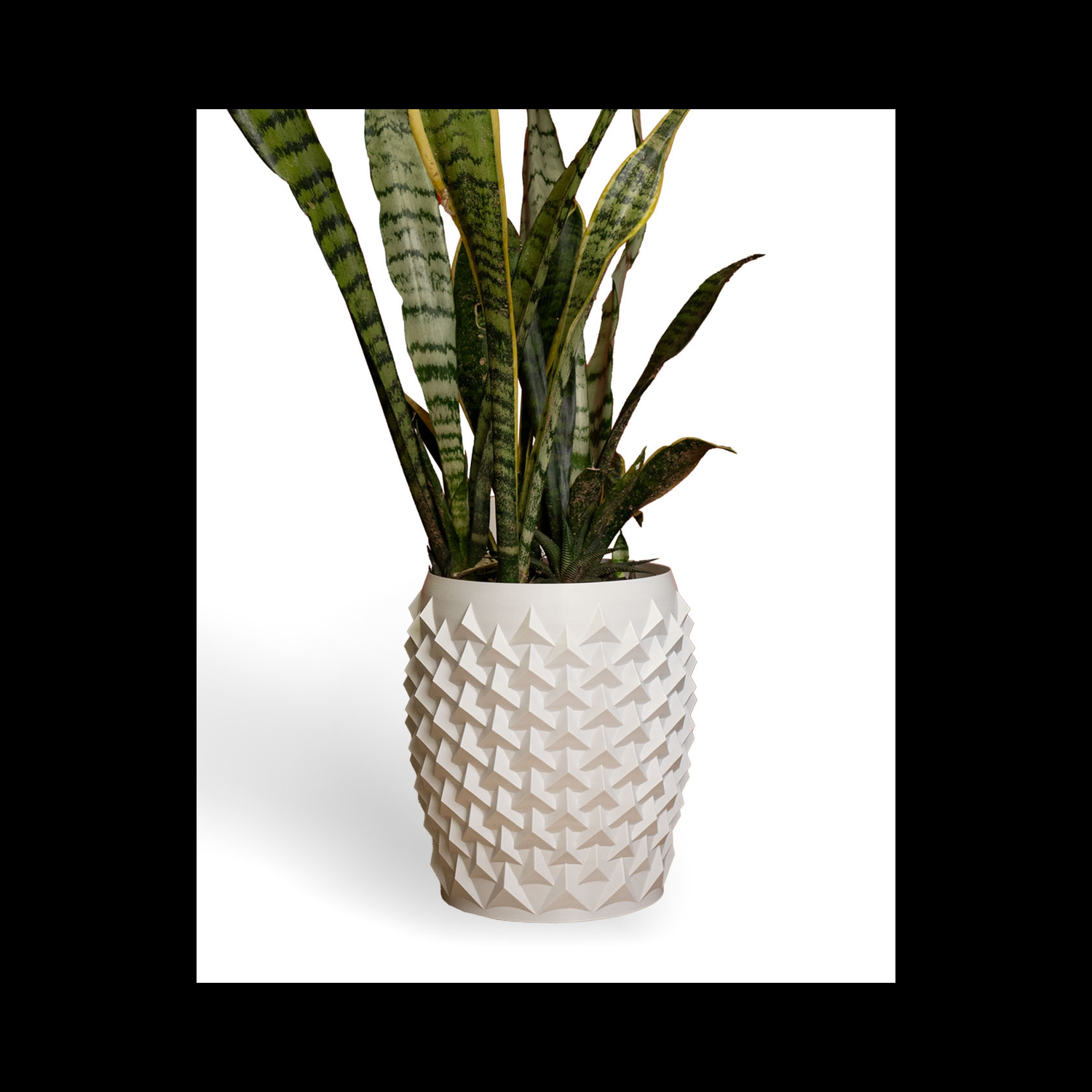 Maceta Pointy Flowerpot