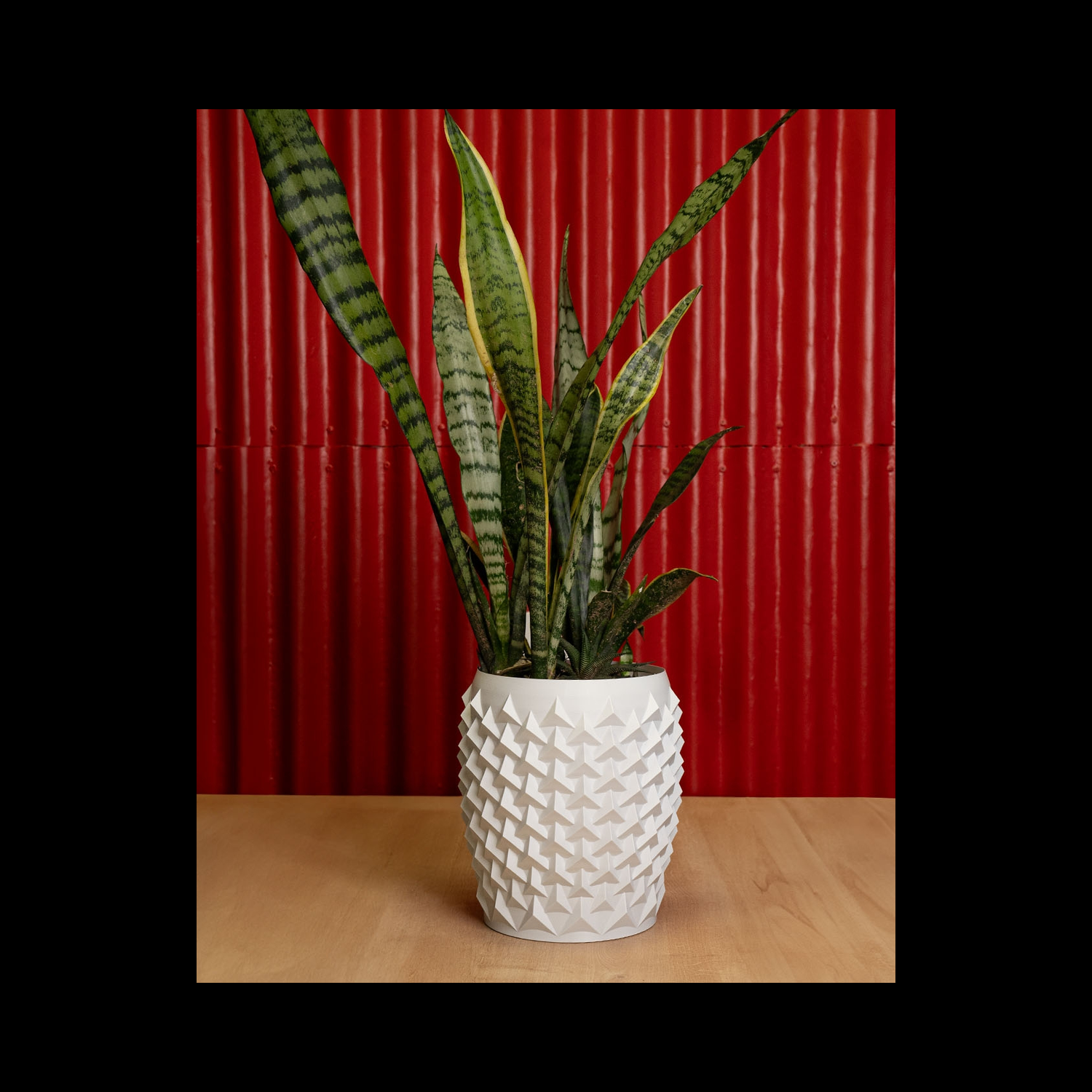 Maceta Pointy Flowerpot