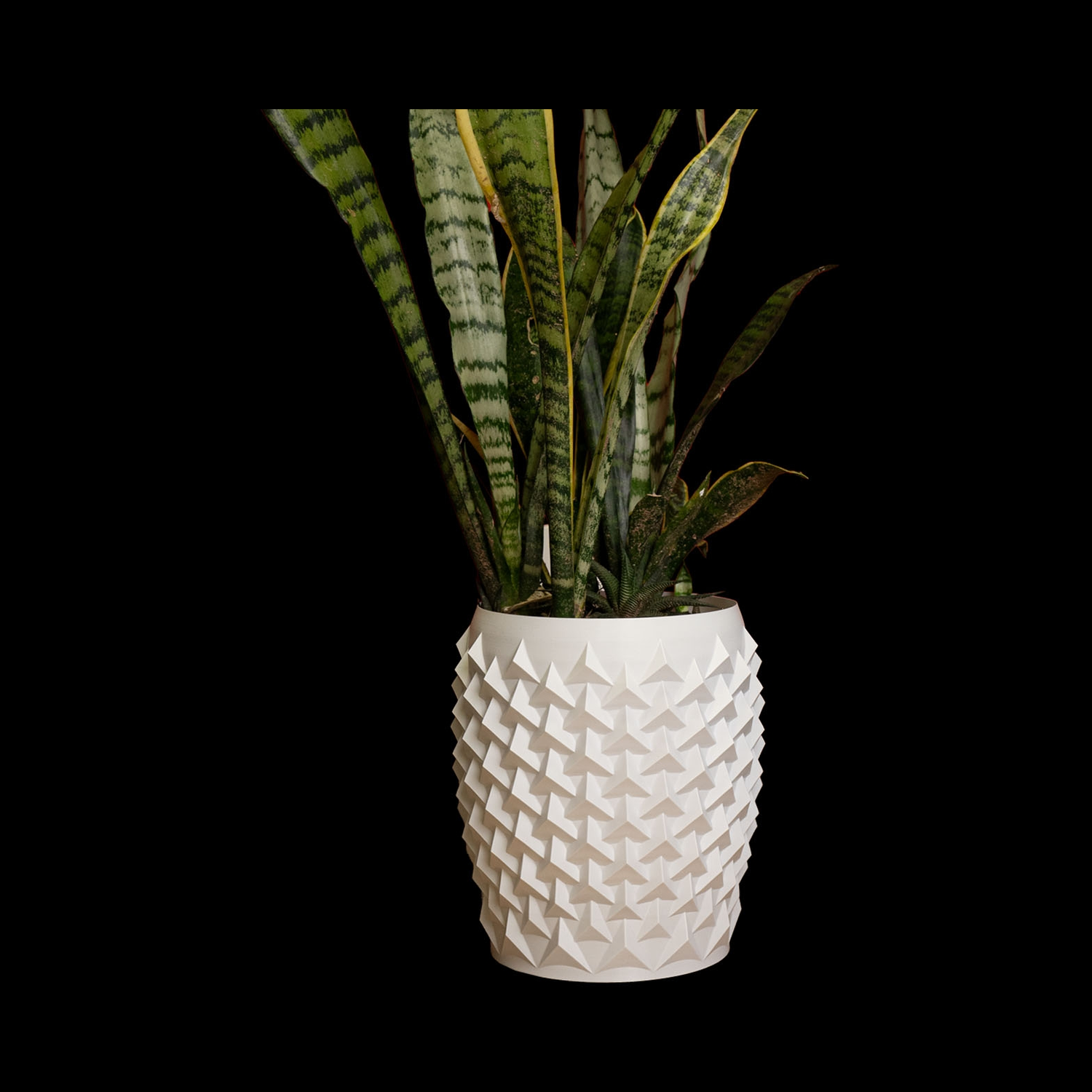Maceta Pointy Flowerpot