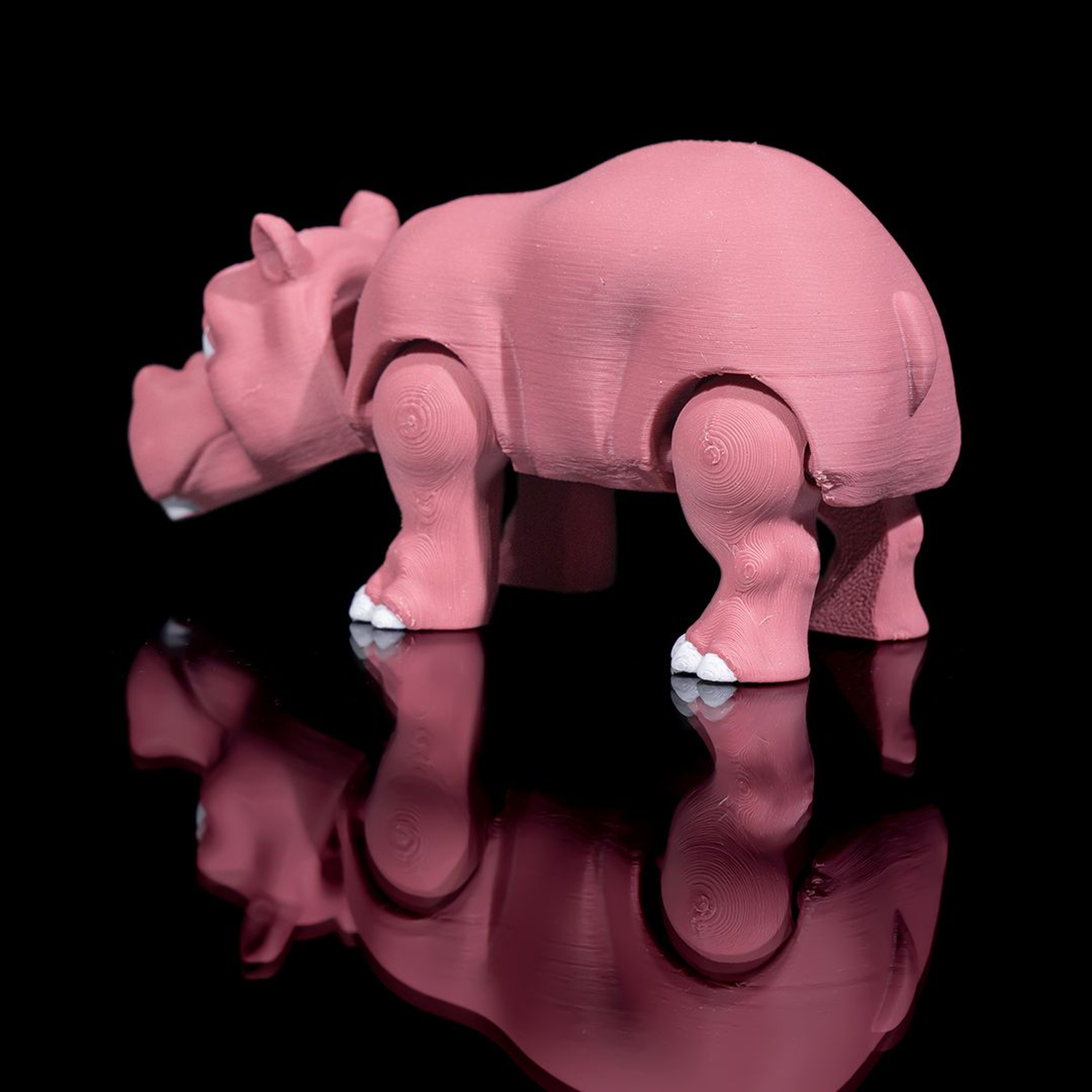 Hippo