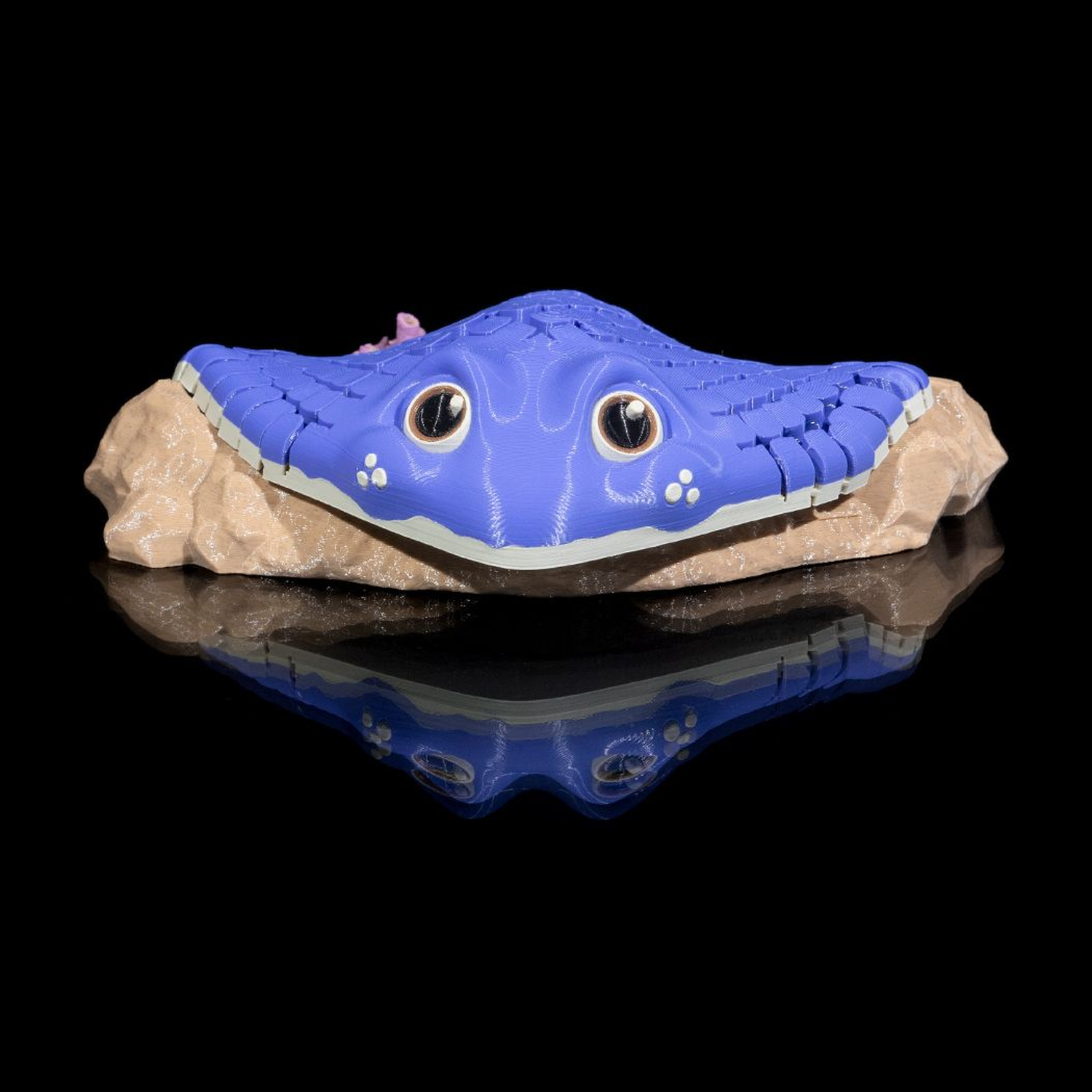 Ray, the Manta Ray
