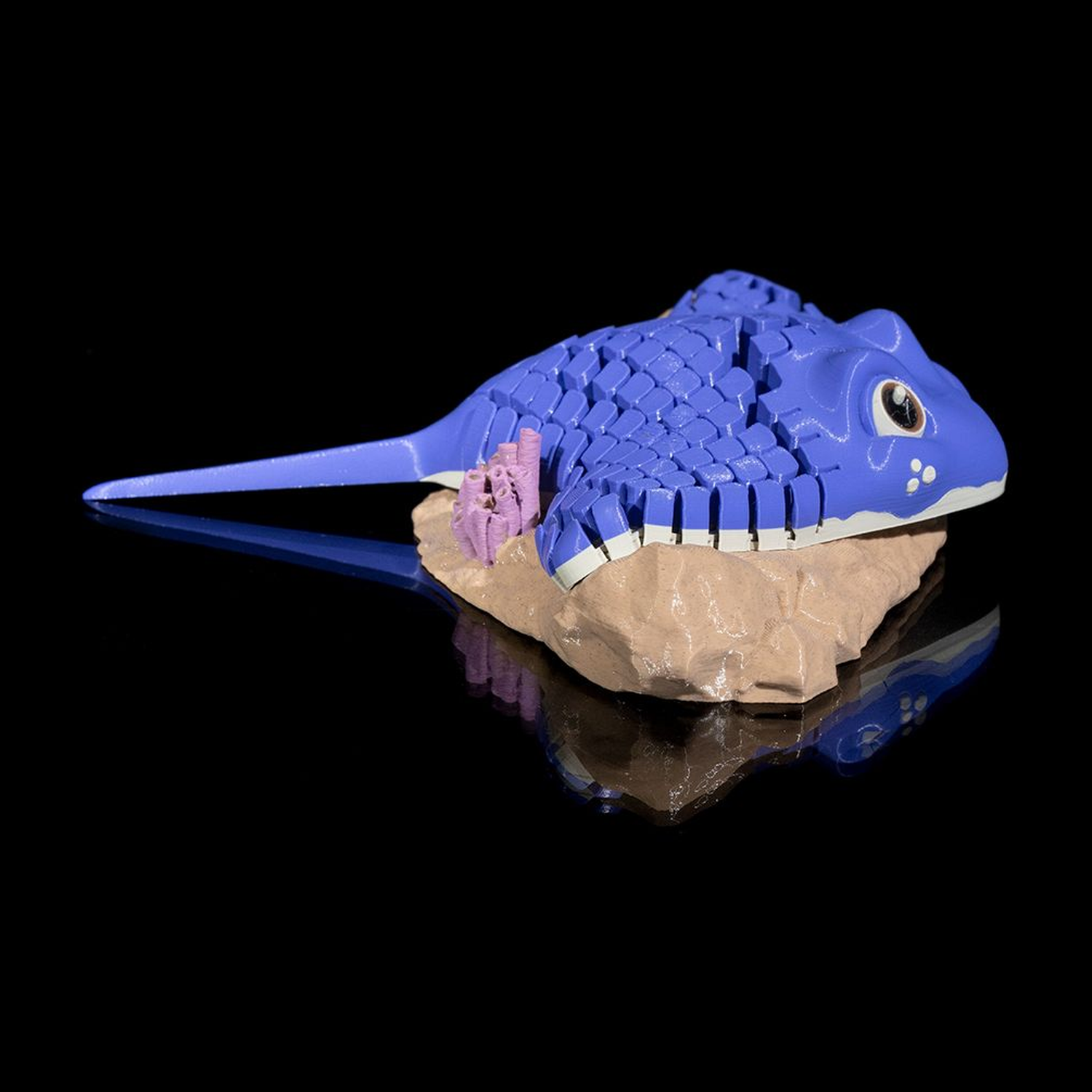 Ray, the Manta Ray