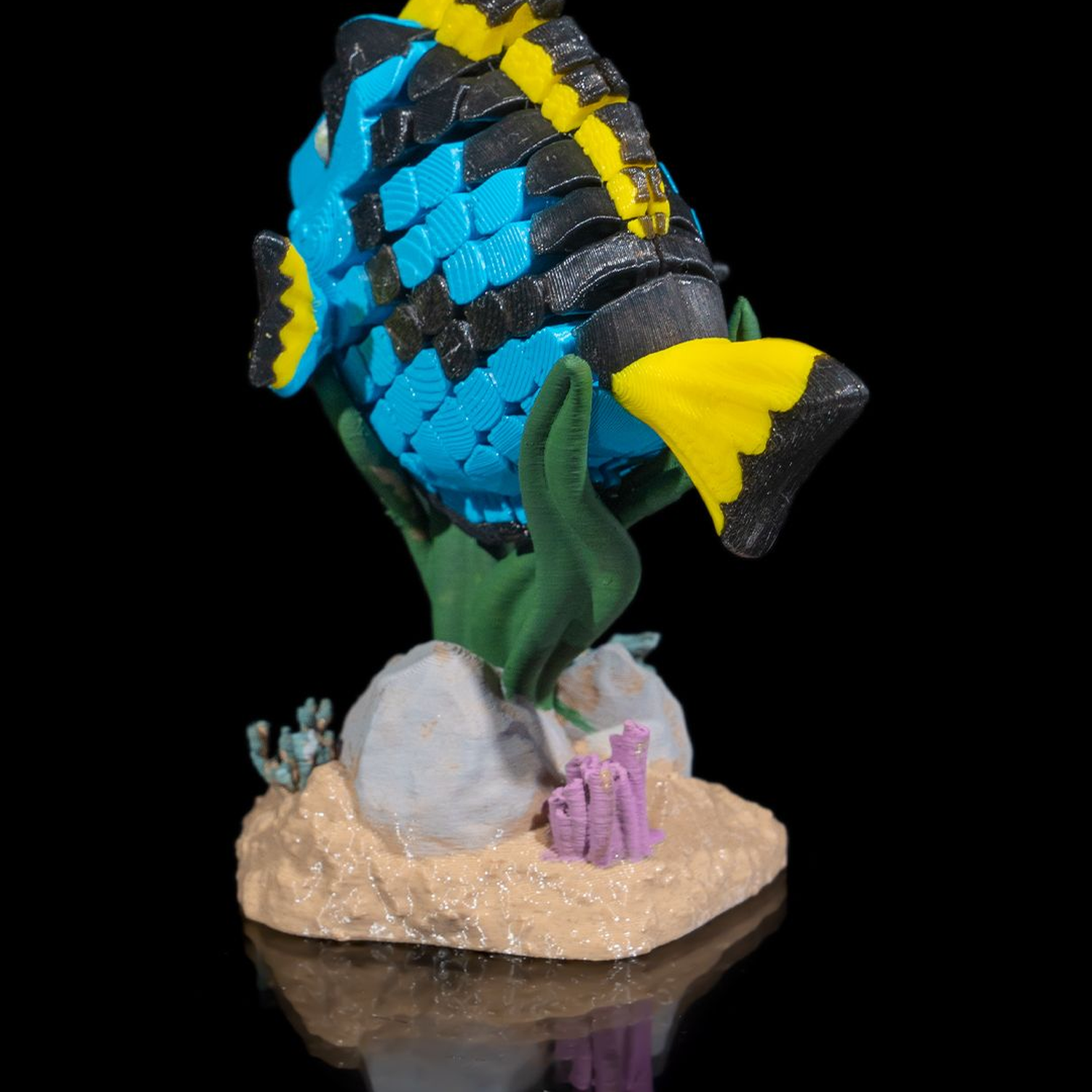 Dolores, the Blue Tang