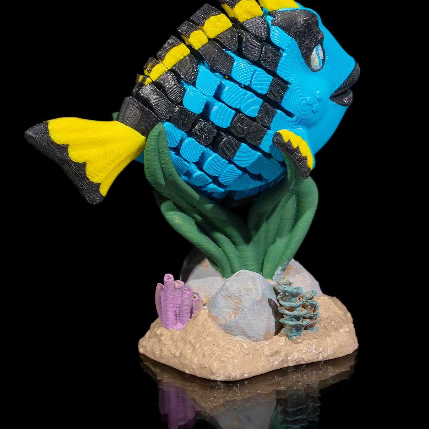 Dolores, the Blue Tang
