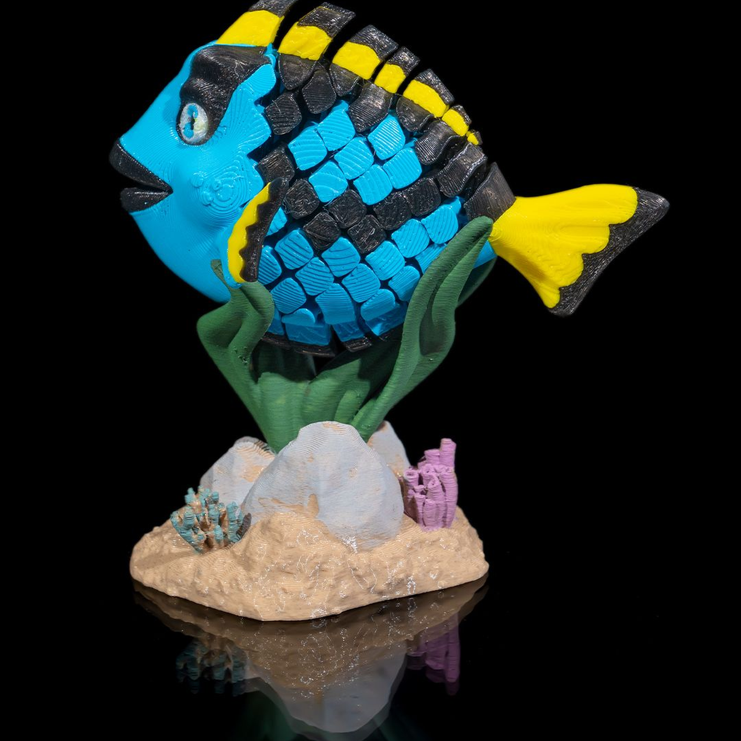 Dolores, the Blue Tang