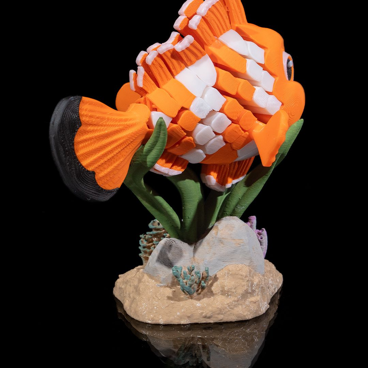 Nestor, the Clownfish