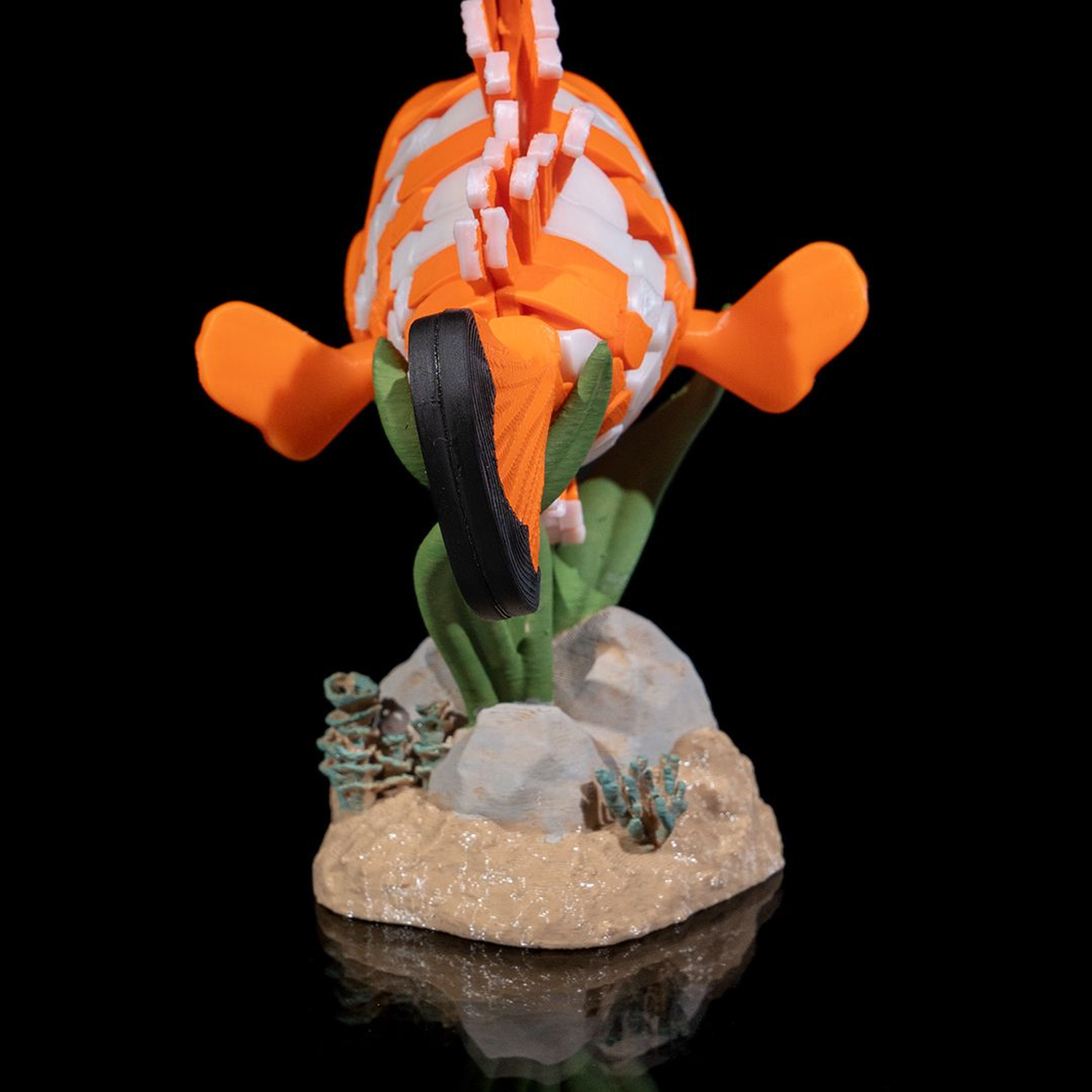 Nestor, the Clownfish