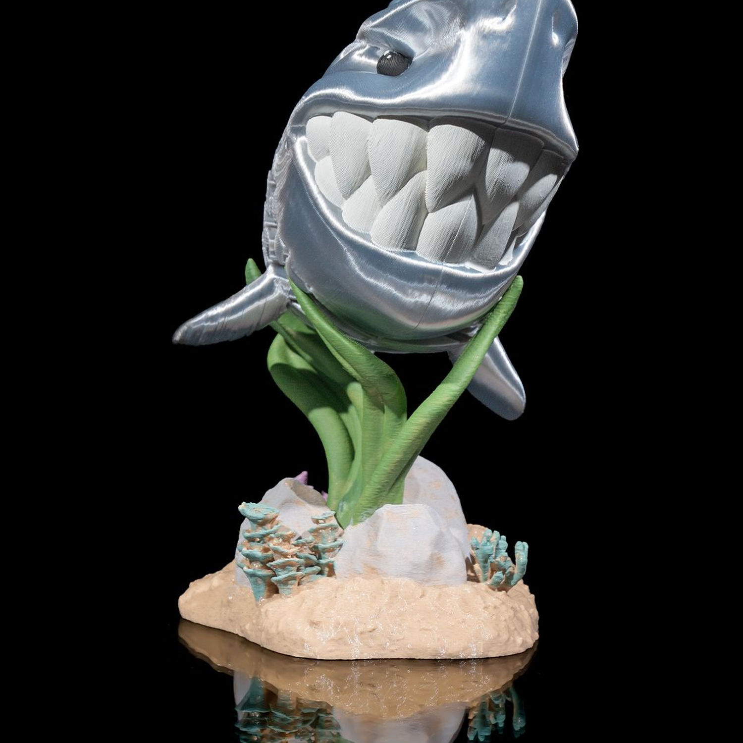 Travis, the White Shark