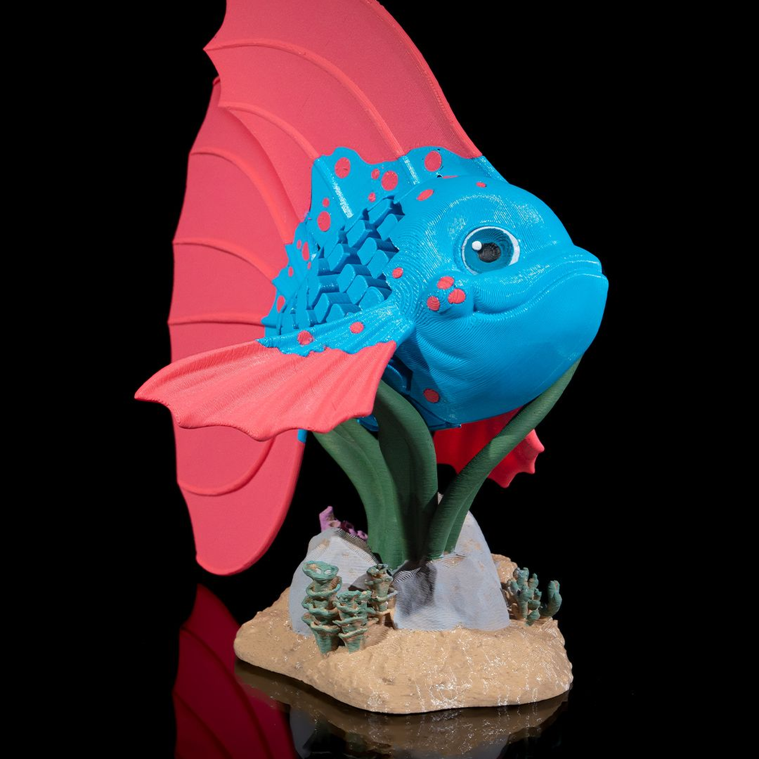 Bella, the Betta Fish