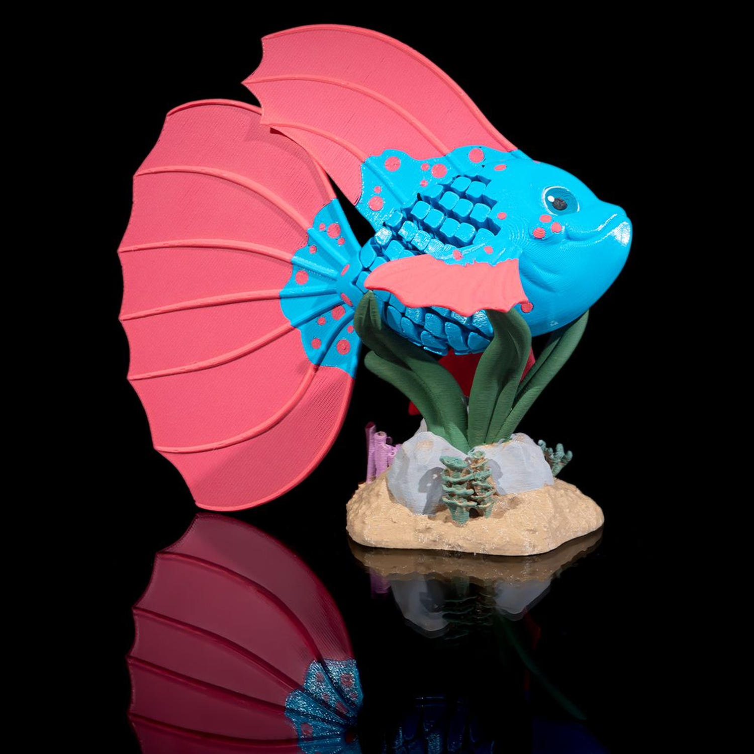 Bella, the Betta Fish