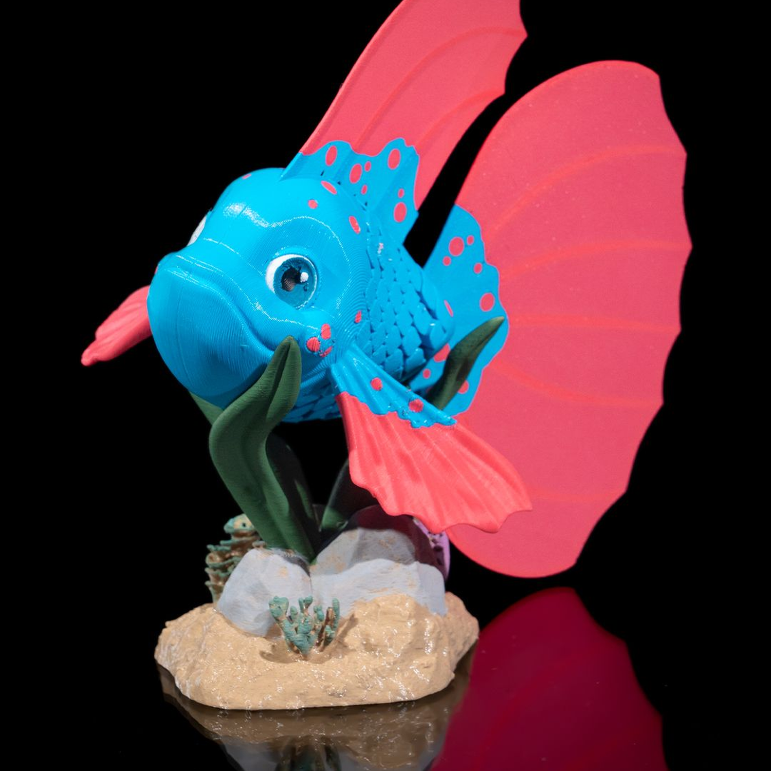 Bella, the Betta Fish