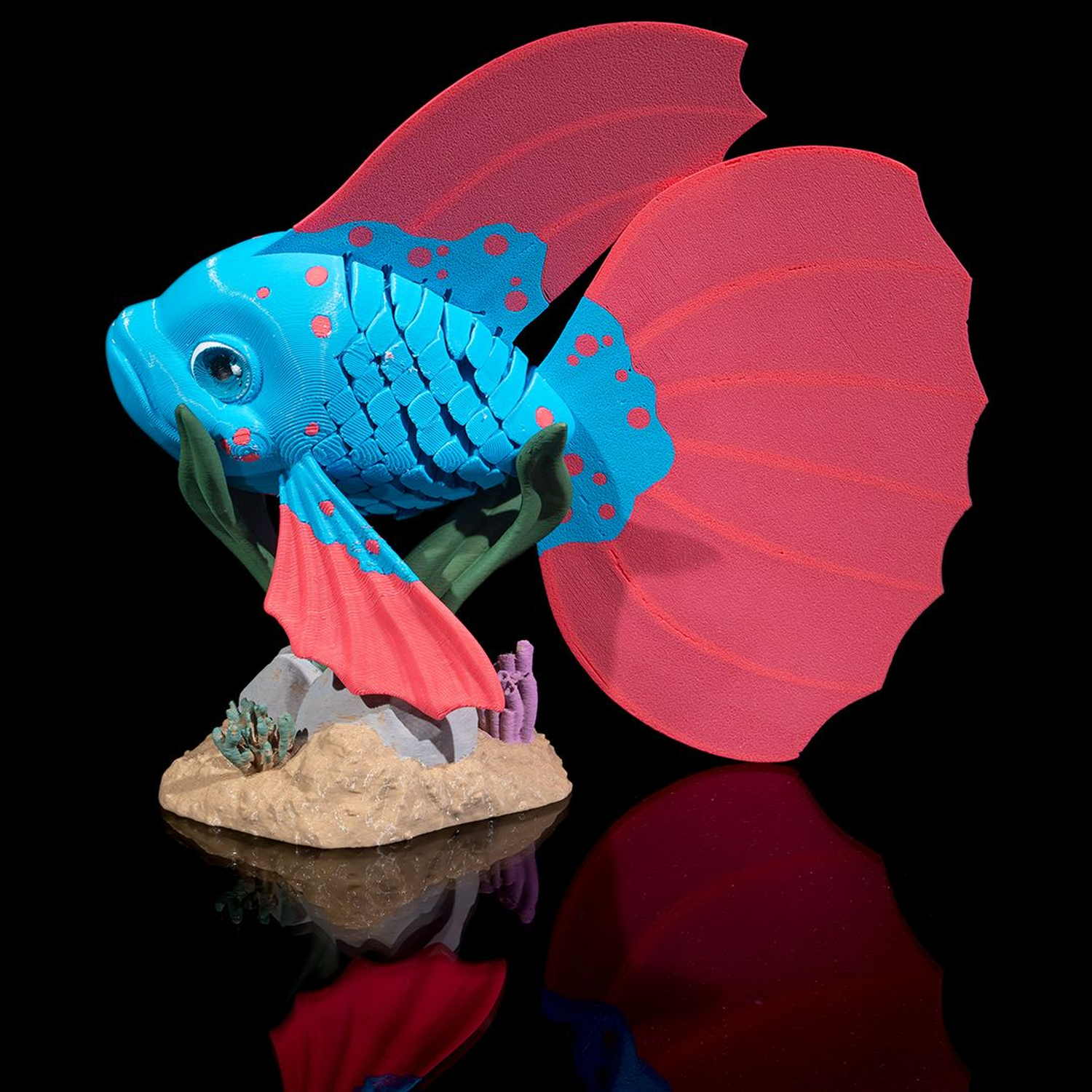 Bella, the Betta Fish