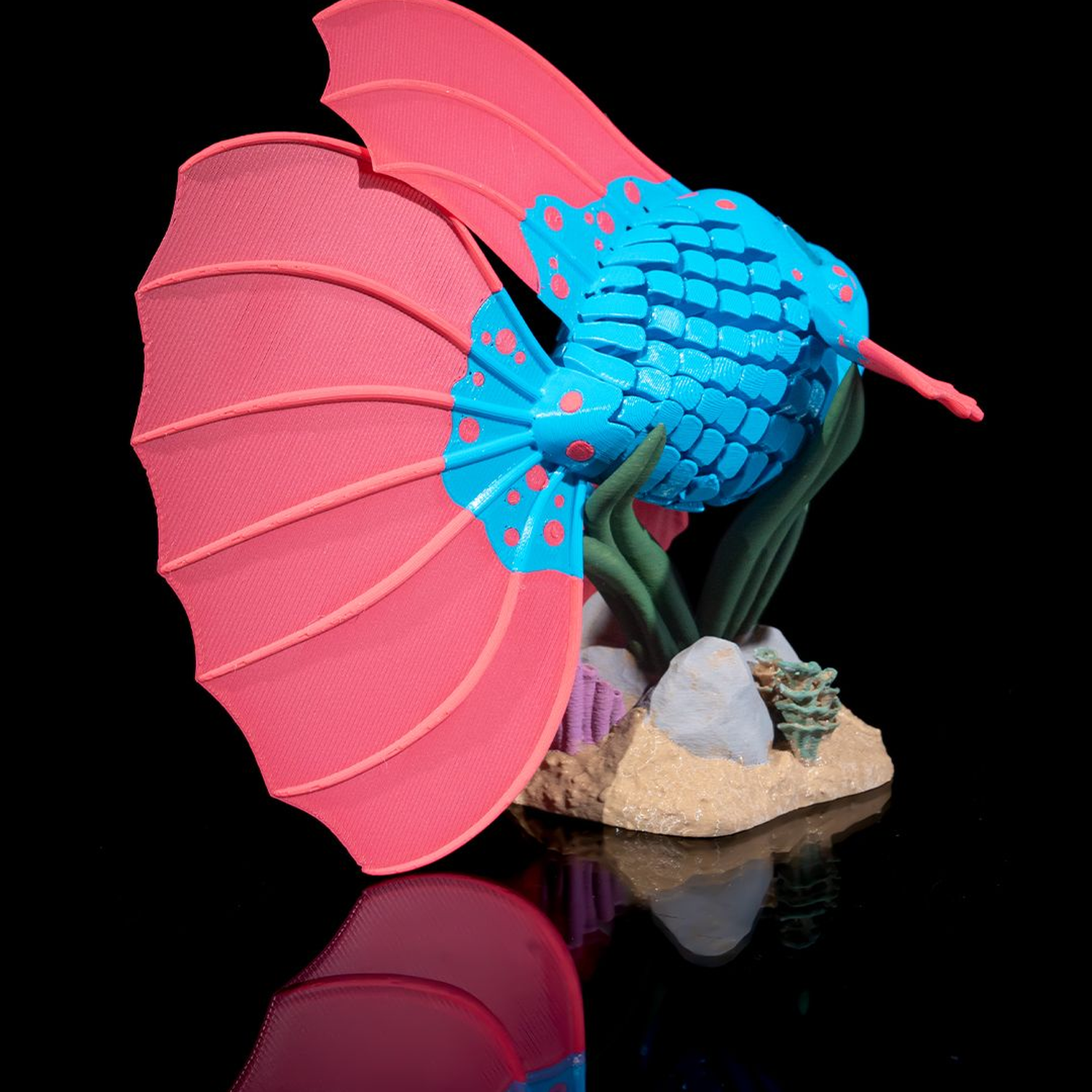 Bella, the Betta Fish