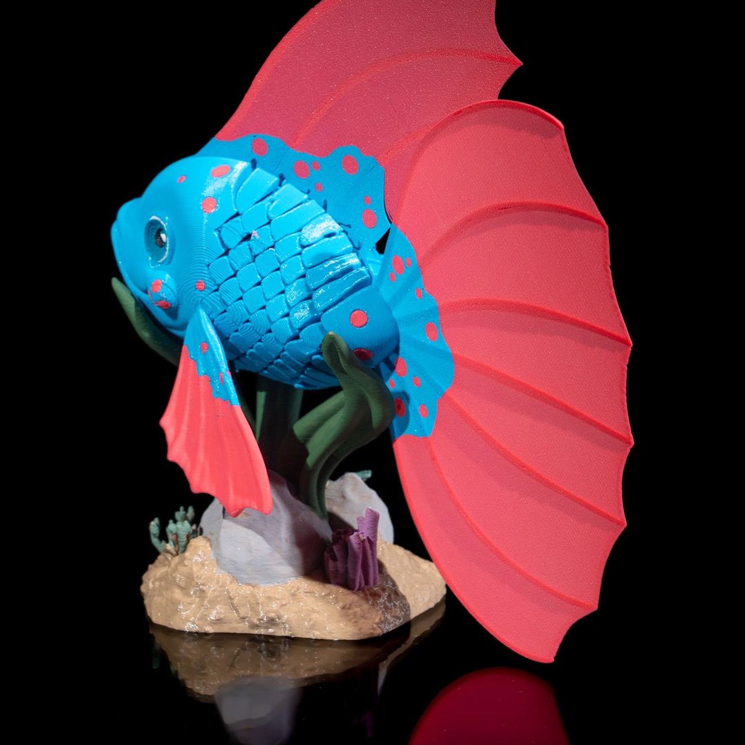Bella, the Betta Fish