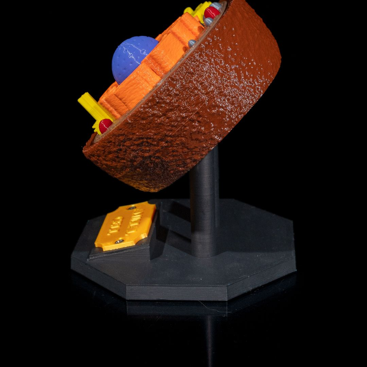 Animal Cell