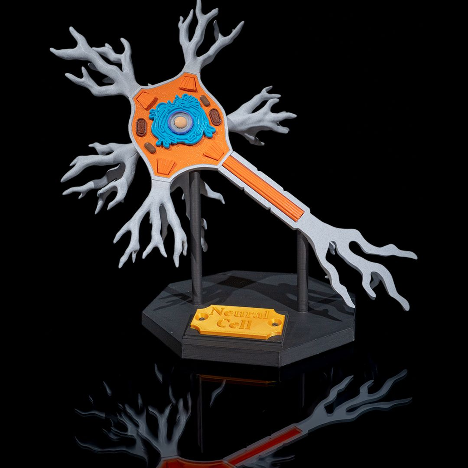 Neural Cell