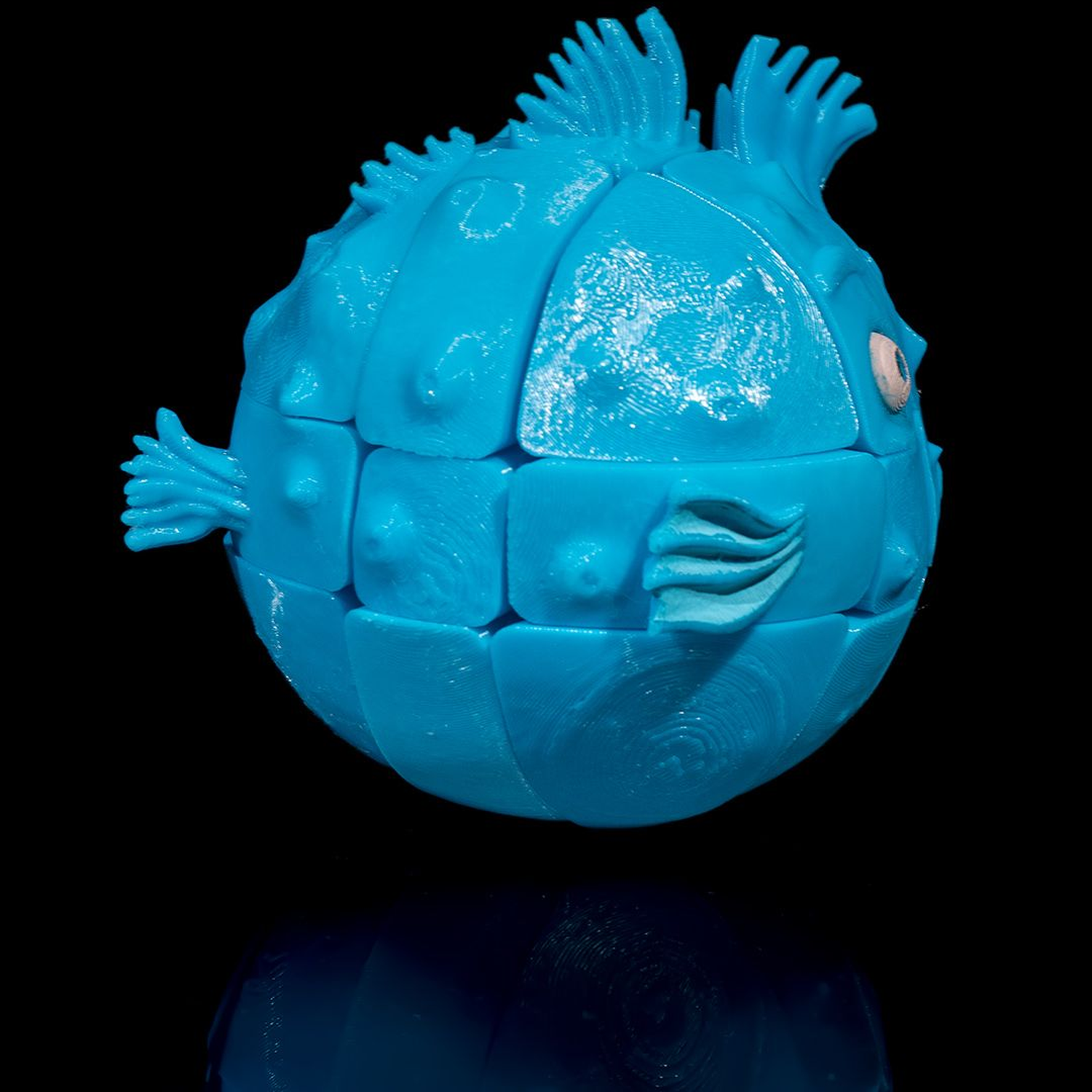 Puzzler Fish