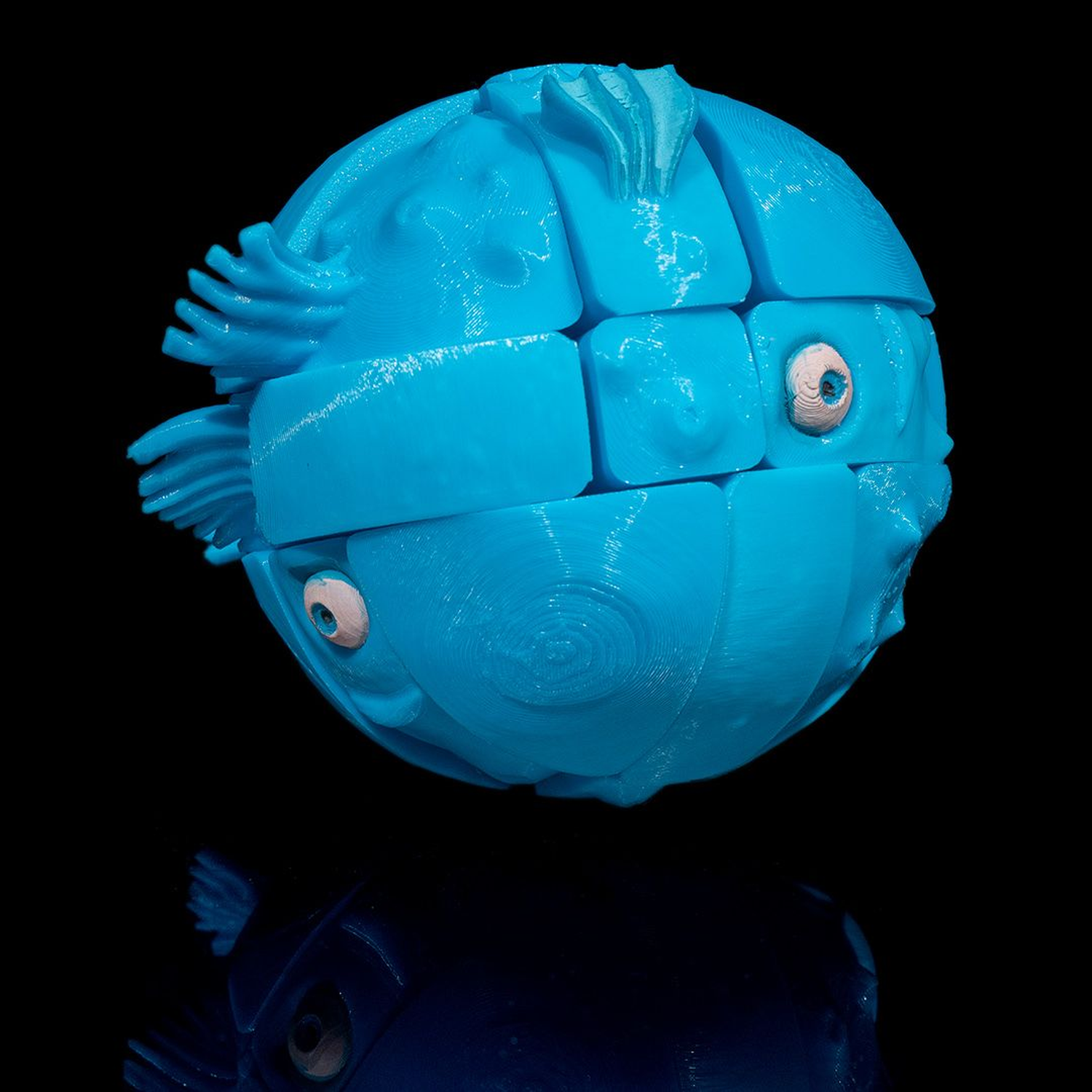 Puzzler Fish