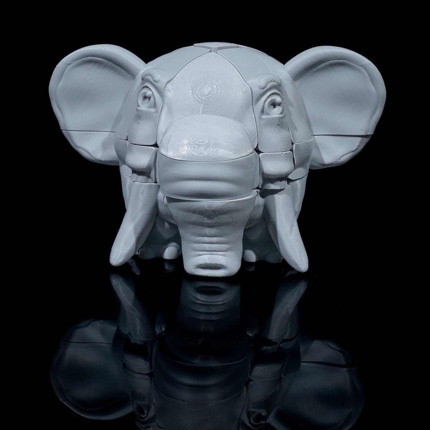 Elephant’s Memory