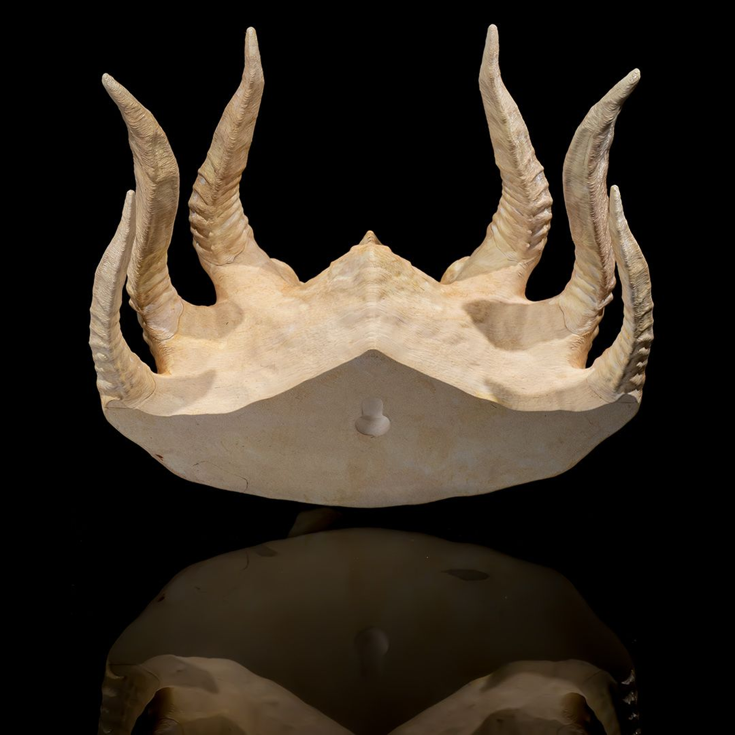 Silver Dragon Skull
