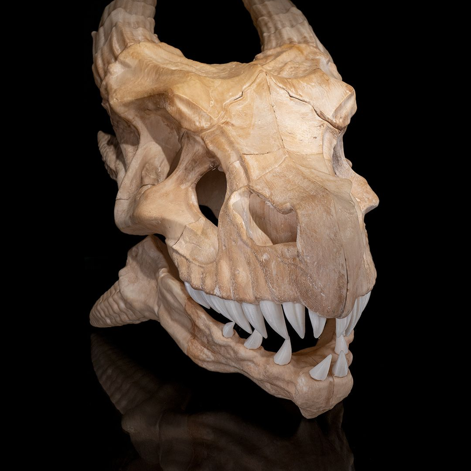 Epic Red Dragon Skull