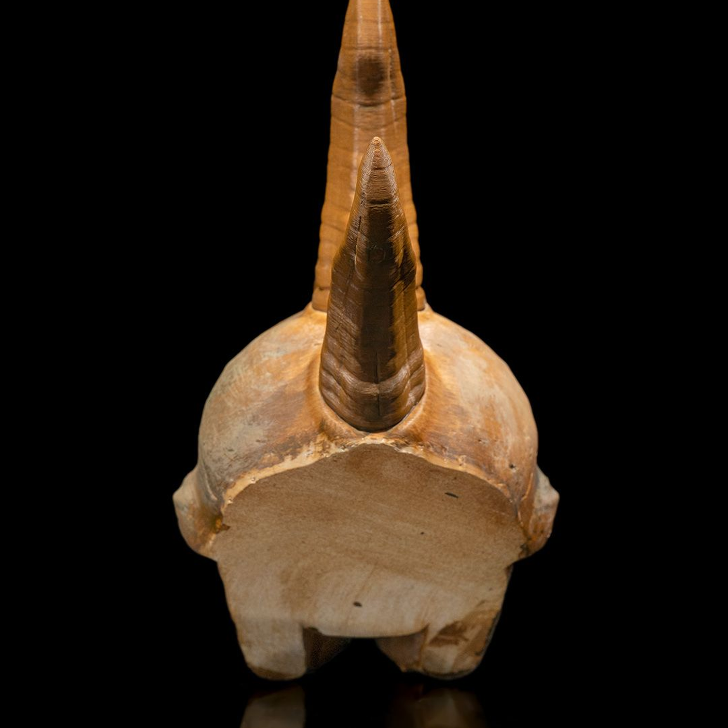 Black Dragon Skull