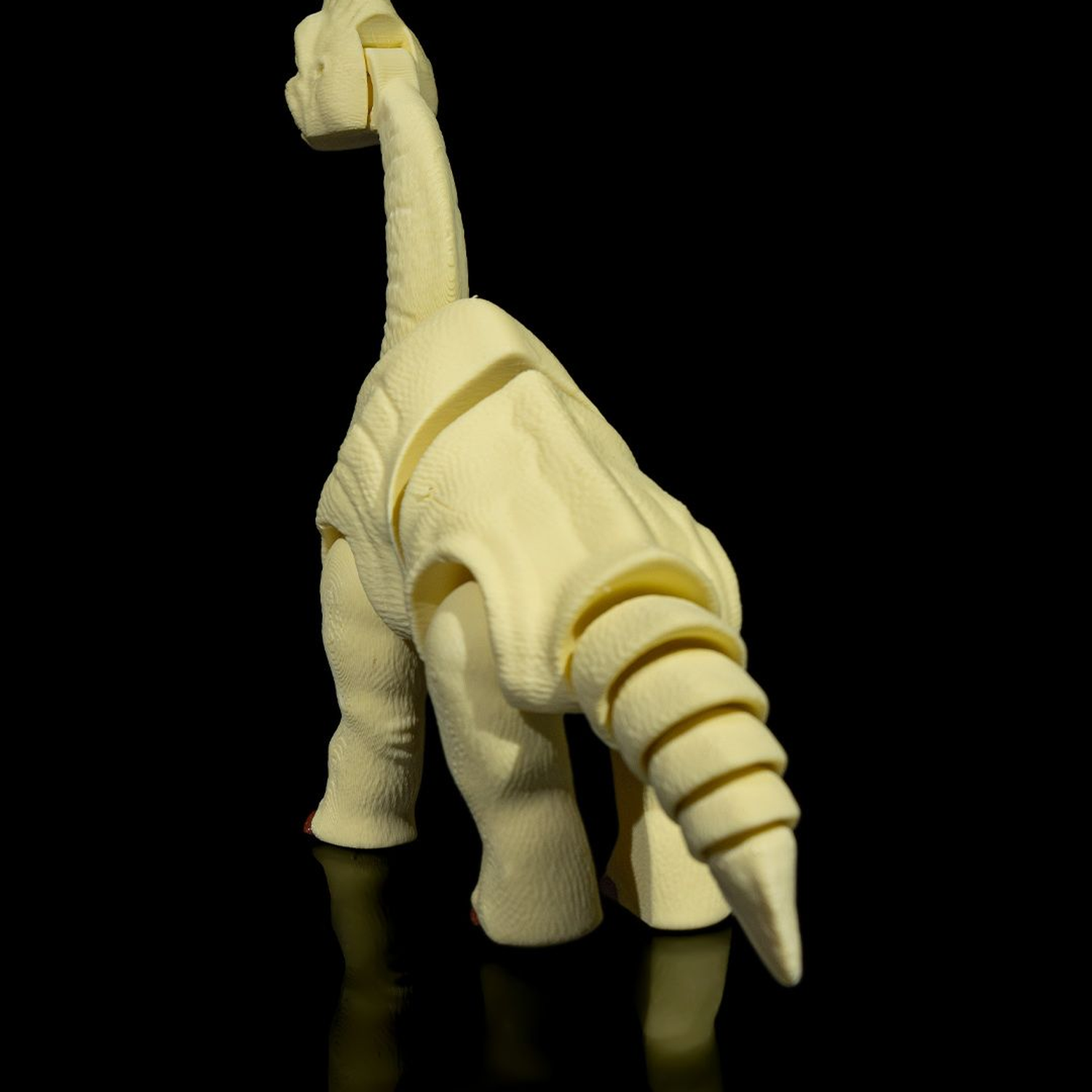 Articulated Brachiosaurus