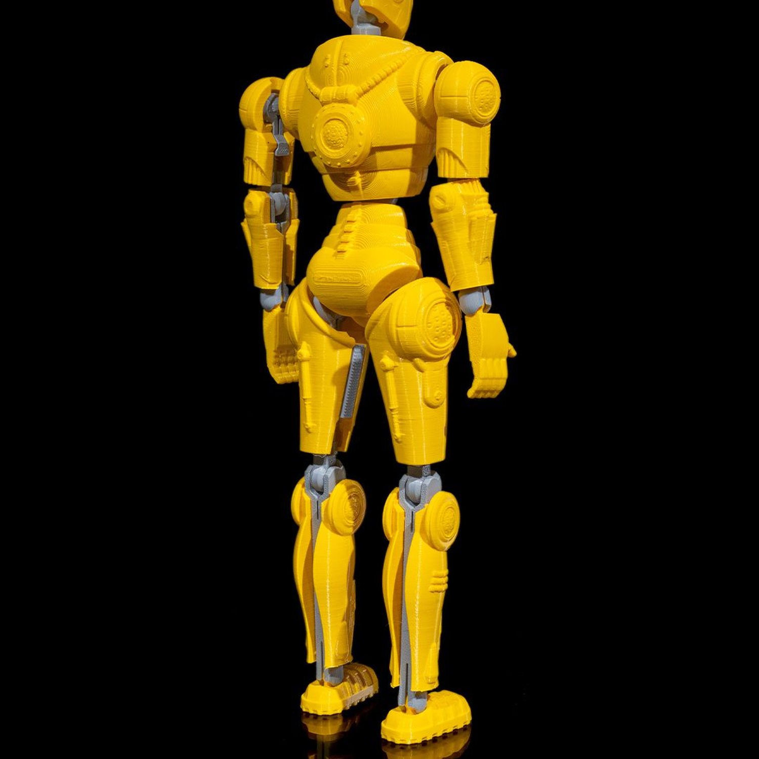 RadFree Dummy  - Tall