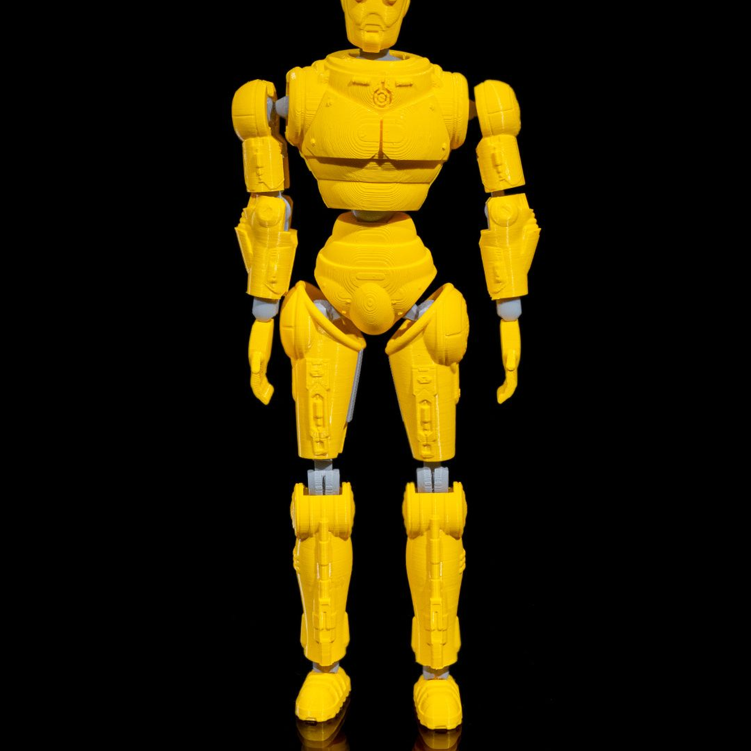 RadFree Dummy  - Tall