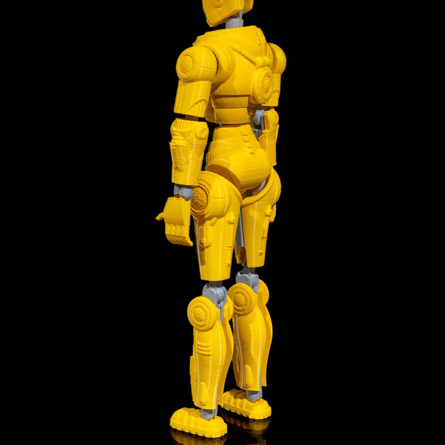 RadFree Dummy  - Tall