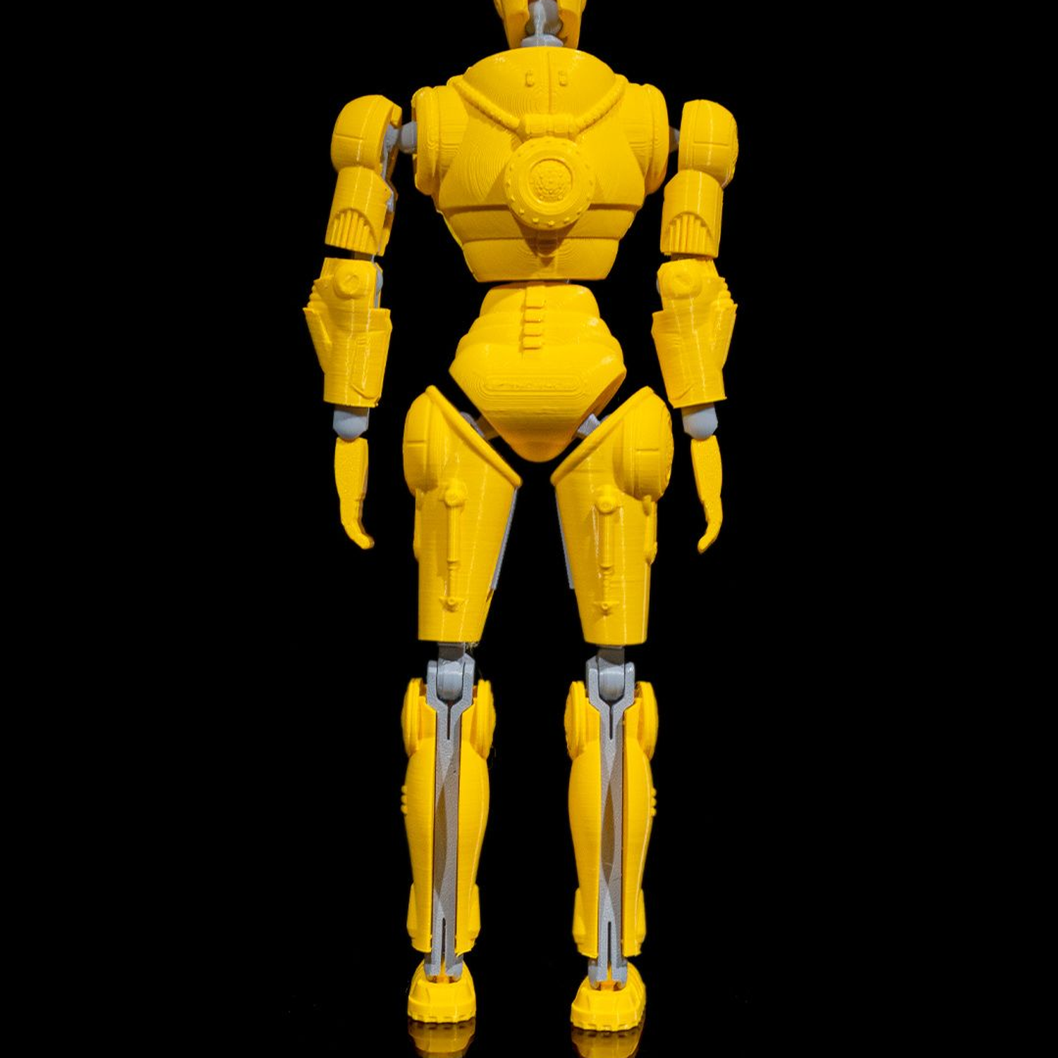 RadFree Dummy  - Tall