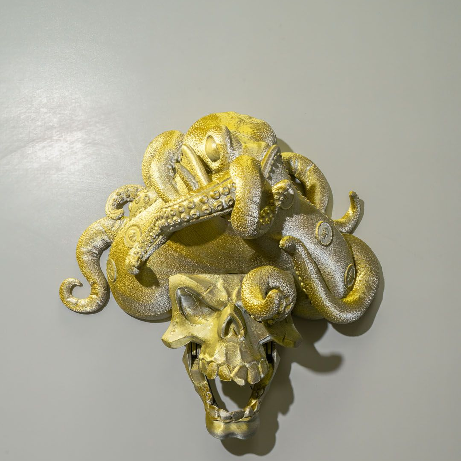 Another Pirate Door Knocker